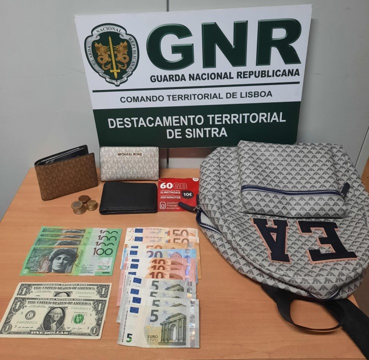 Quatro pessoas detidas por furtos de oportunidade a turistas em Sintra