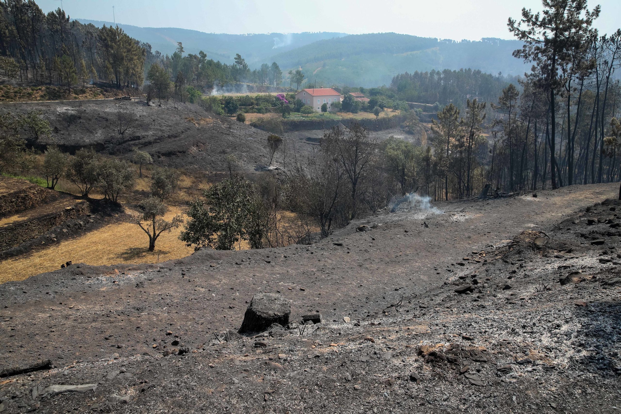 Incêndios: Dominado fogo no concelho de Estremoz