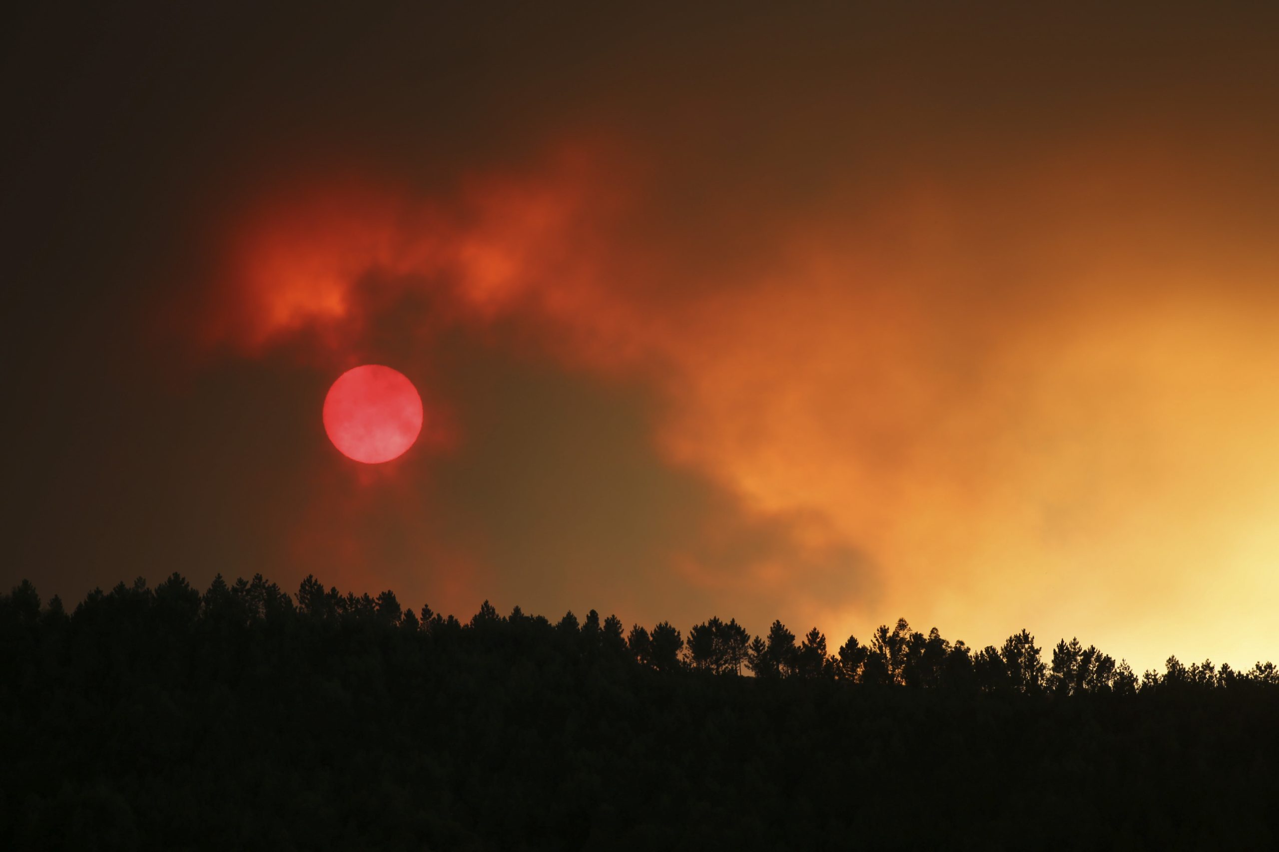 Um bombeiro morreu e quatro ficaram feridos em acidente com viatura que combate incêndio em Oleiros