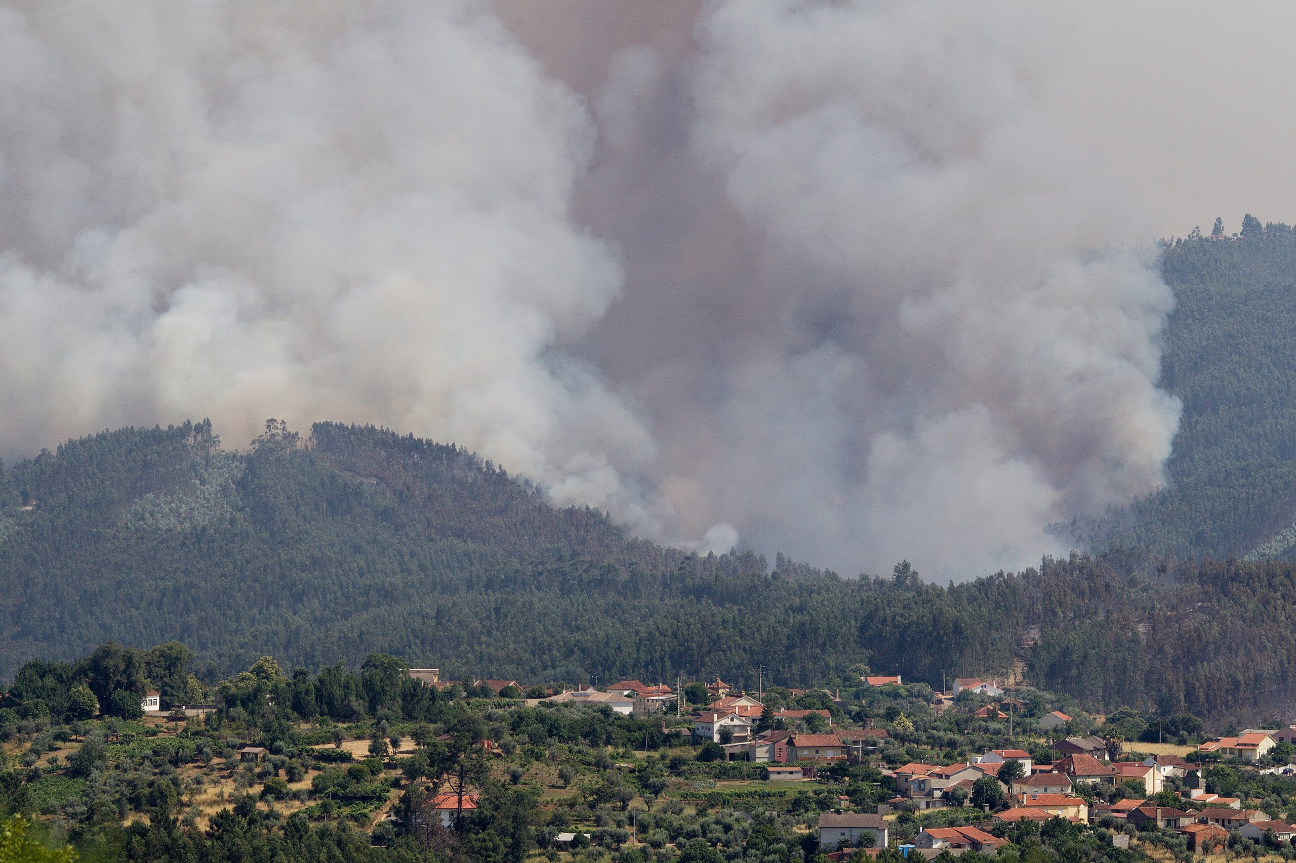 Incêndios: Concelhos de Góis e Pampilhosa indignados com exclusão do fundo de revitalização