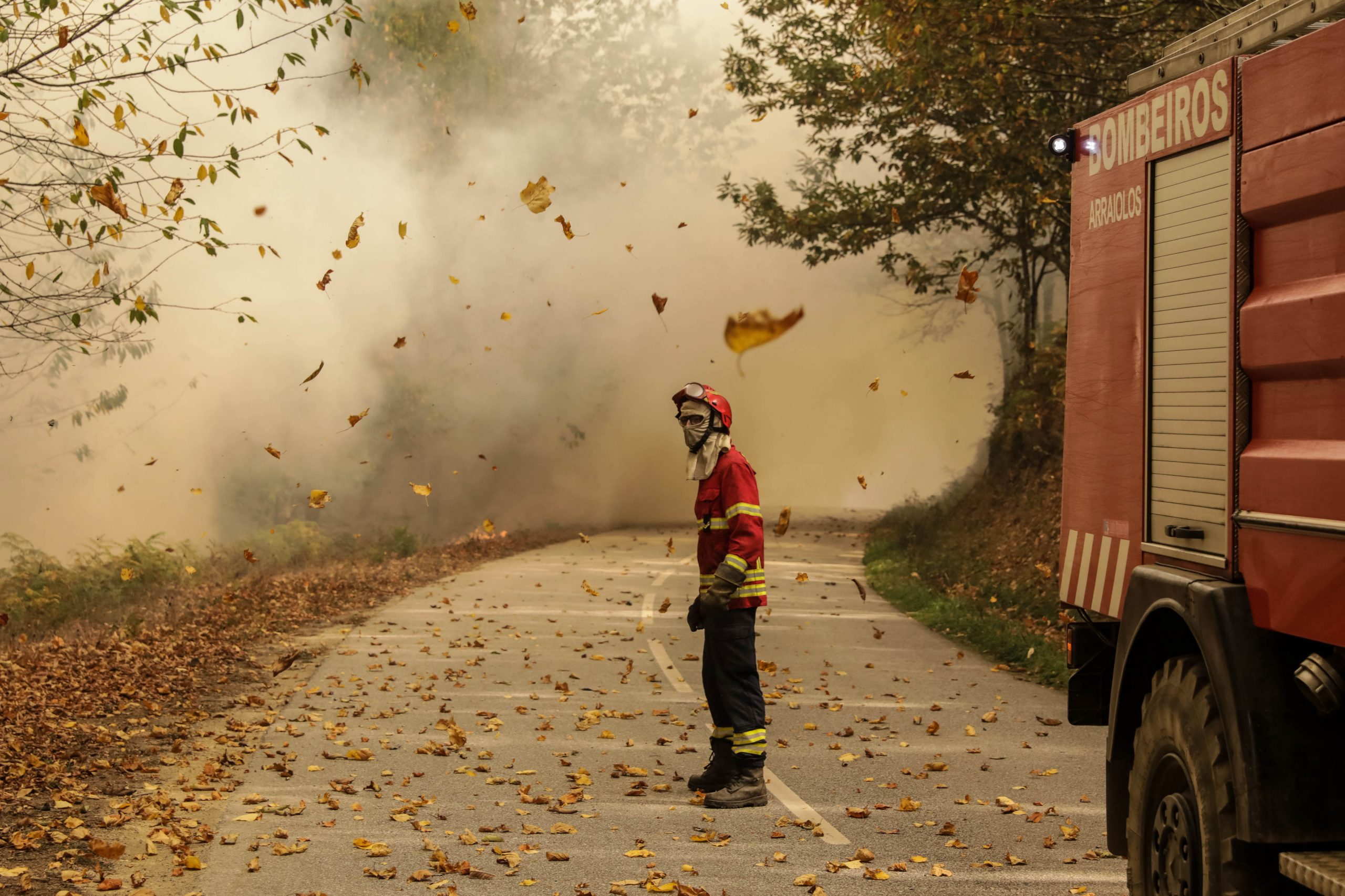 Incêndios. Movimento de Midões exige ao Governo divulgação de apoios concedidos