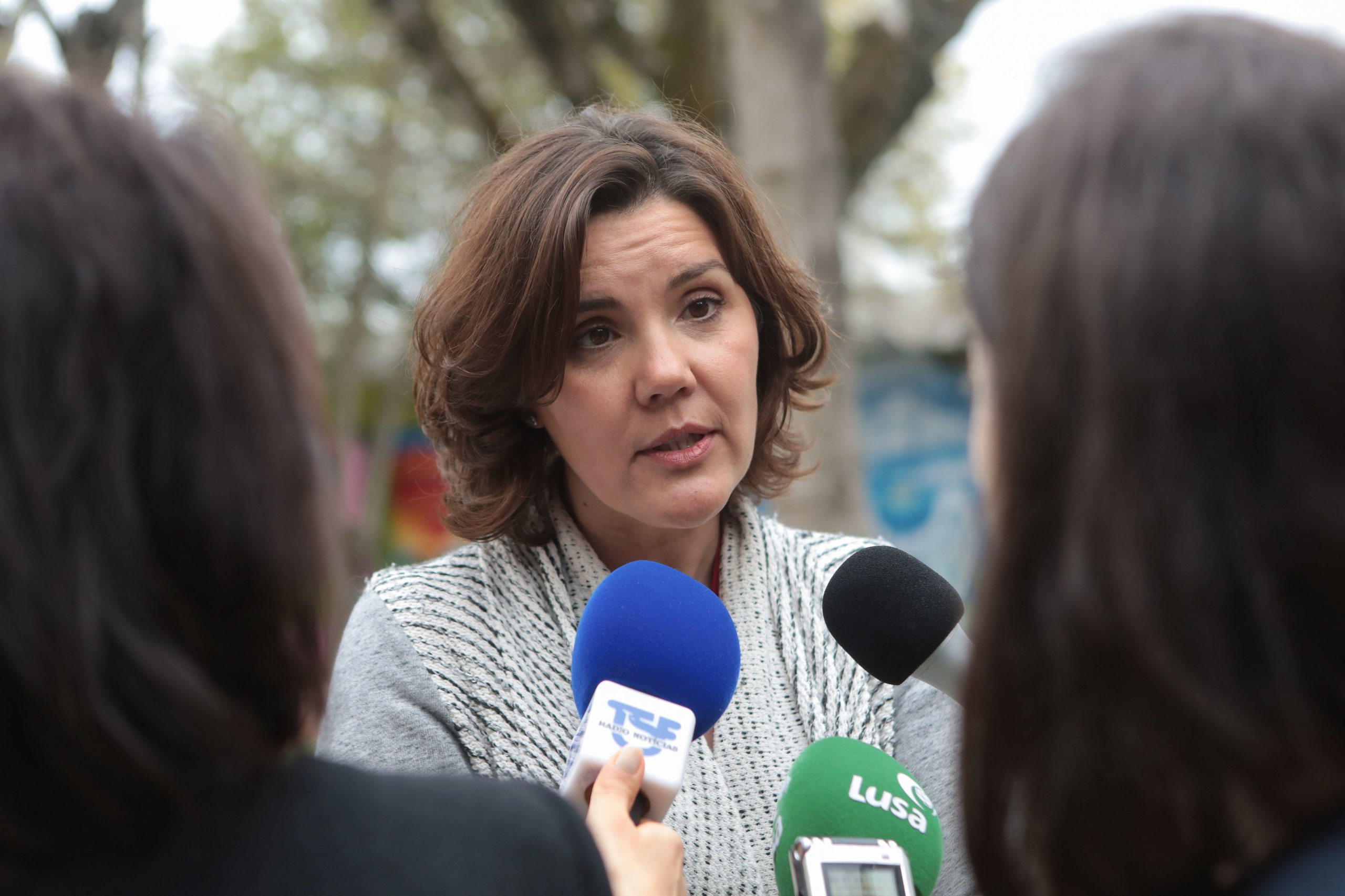 Rosado Fernandes: CDS lembra “ironia e rapidez” de ex-deputado