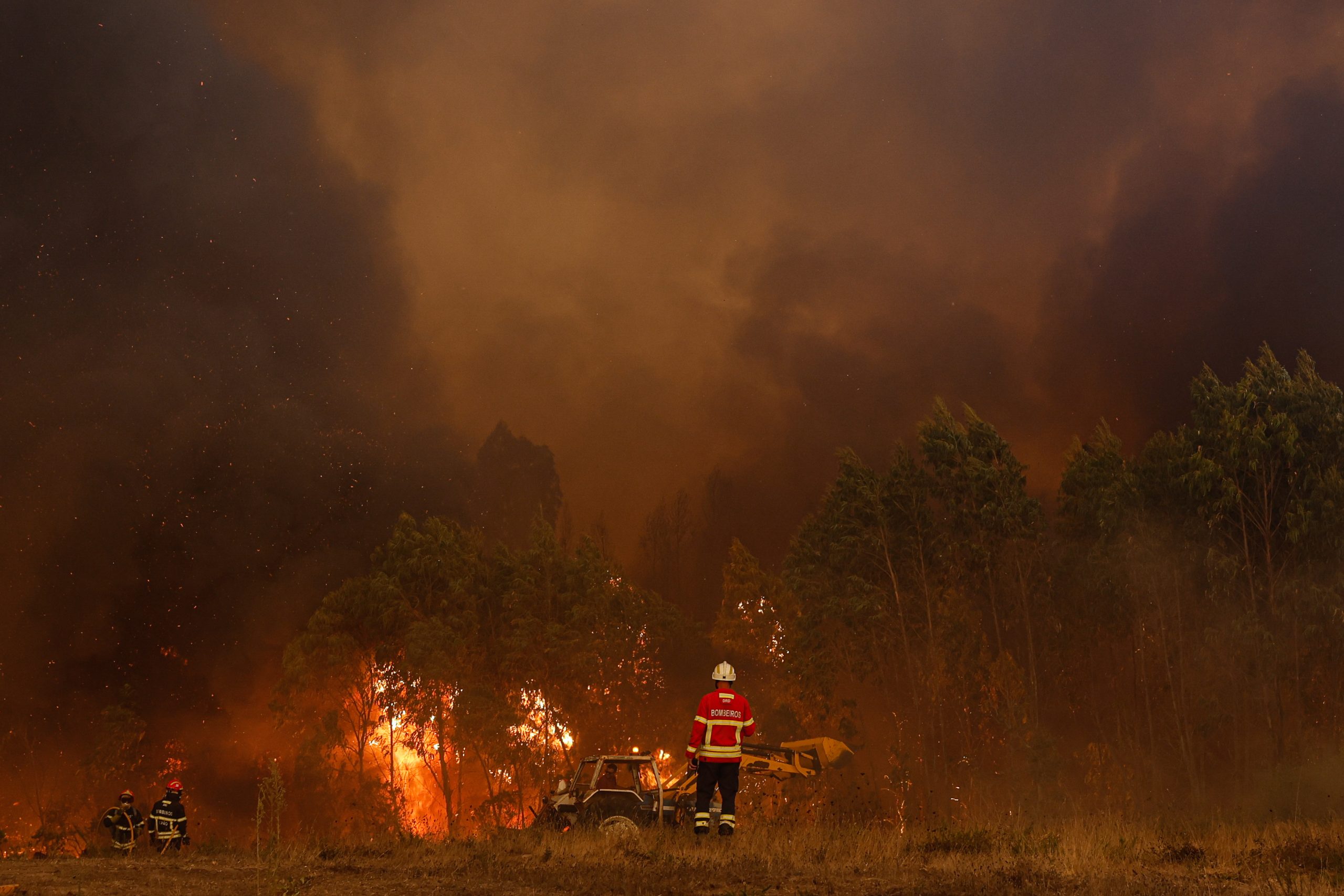 Incêndios: Mais de 160 operacionais combatem fogo em Sabrosa
