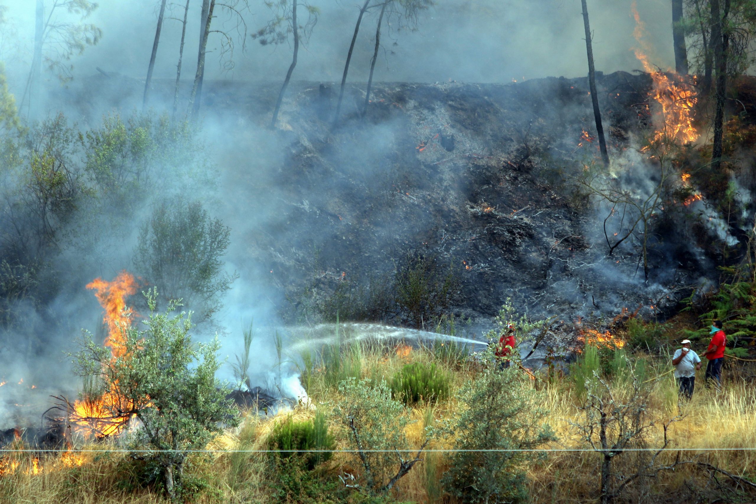 Incêndios: Em Cantanhede “a situação é tremenda”