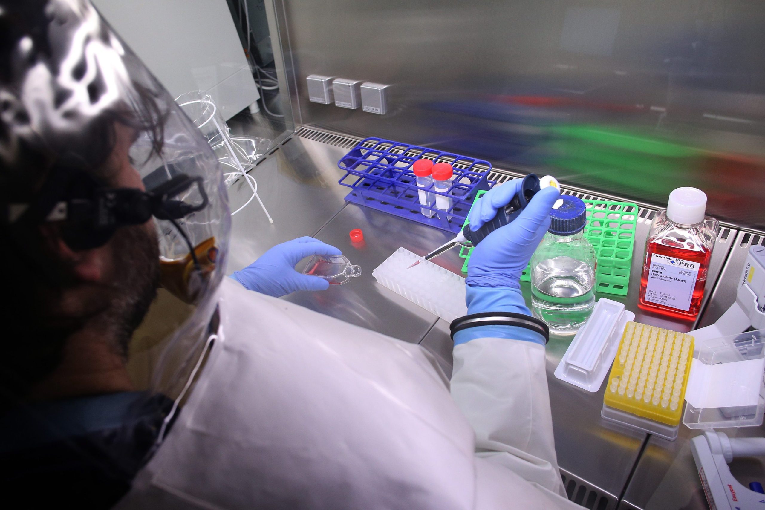 Teste inovador para avaliar medicamentos perigosos na gravidez foi criado em Coimbra