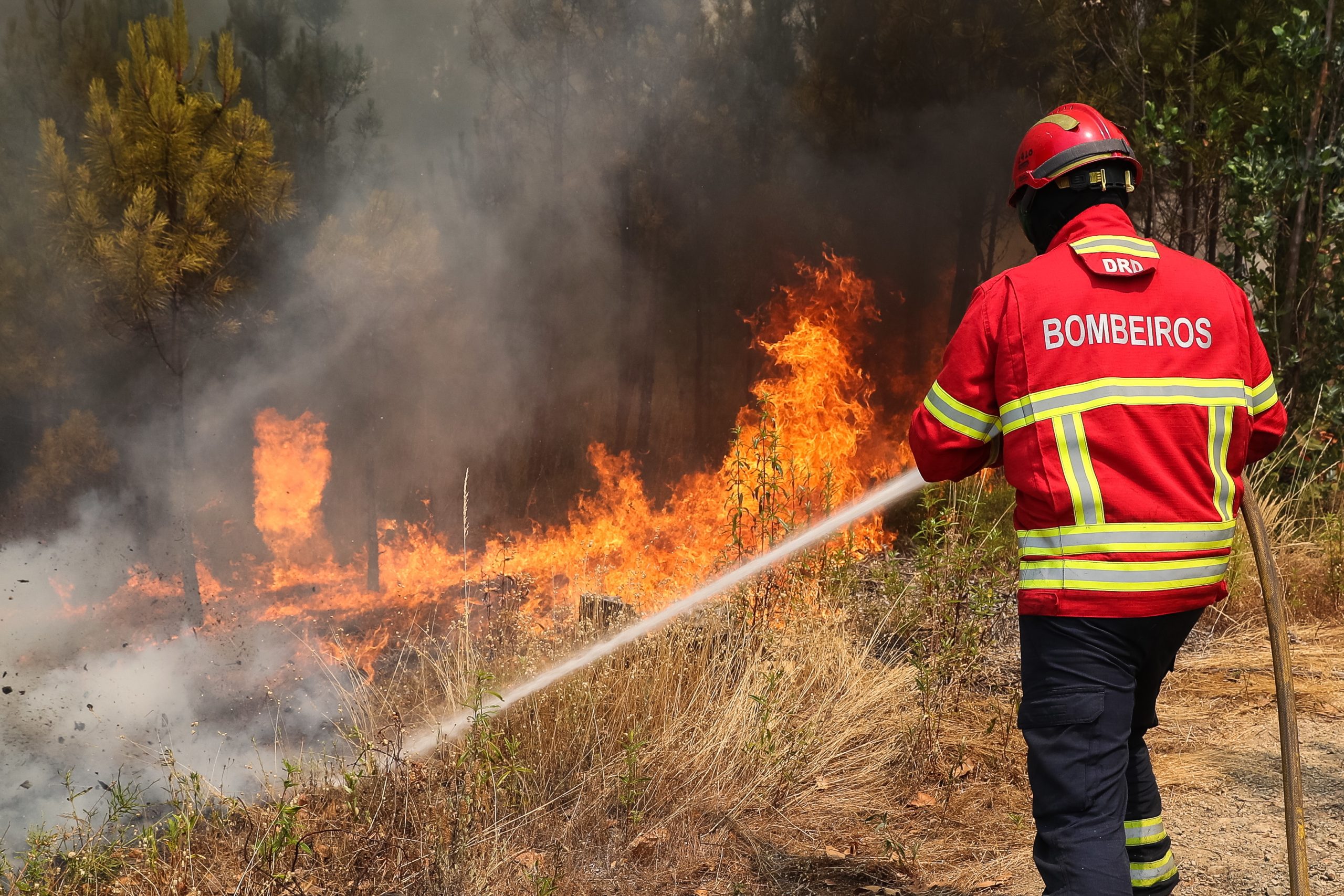 Incêndios: Fogo na Azambuja dominado