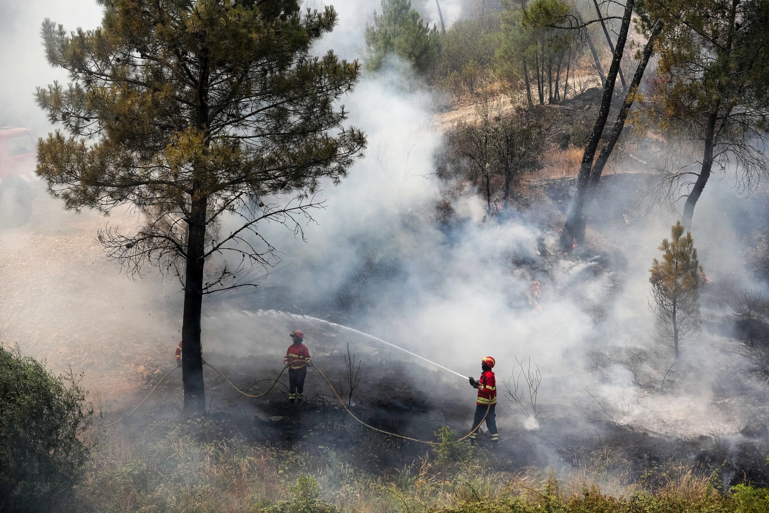 Incêndios: União Europeia diz estar disponível para ajudar Portugal