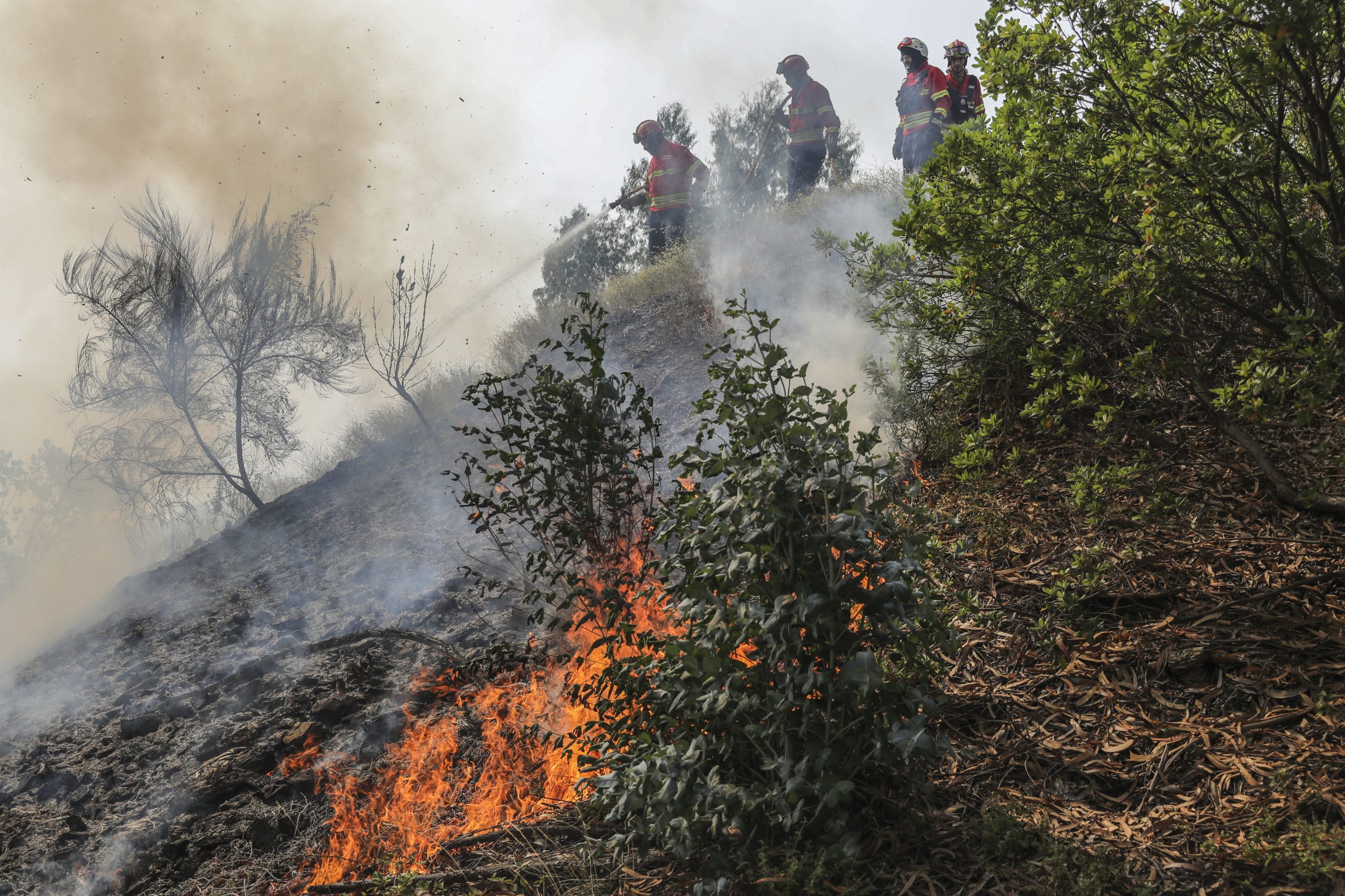 Combate às chamas em Monchique vai ser reforçado com dois aviões Canadair de Espanha
