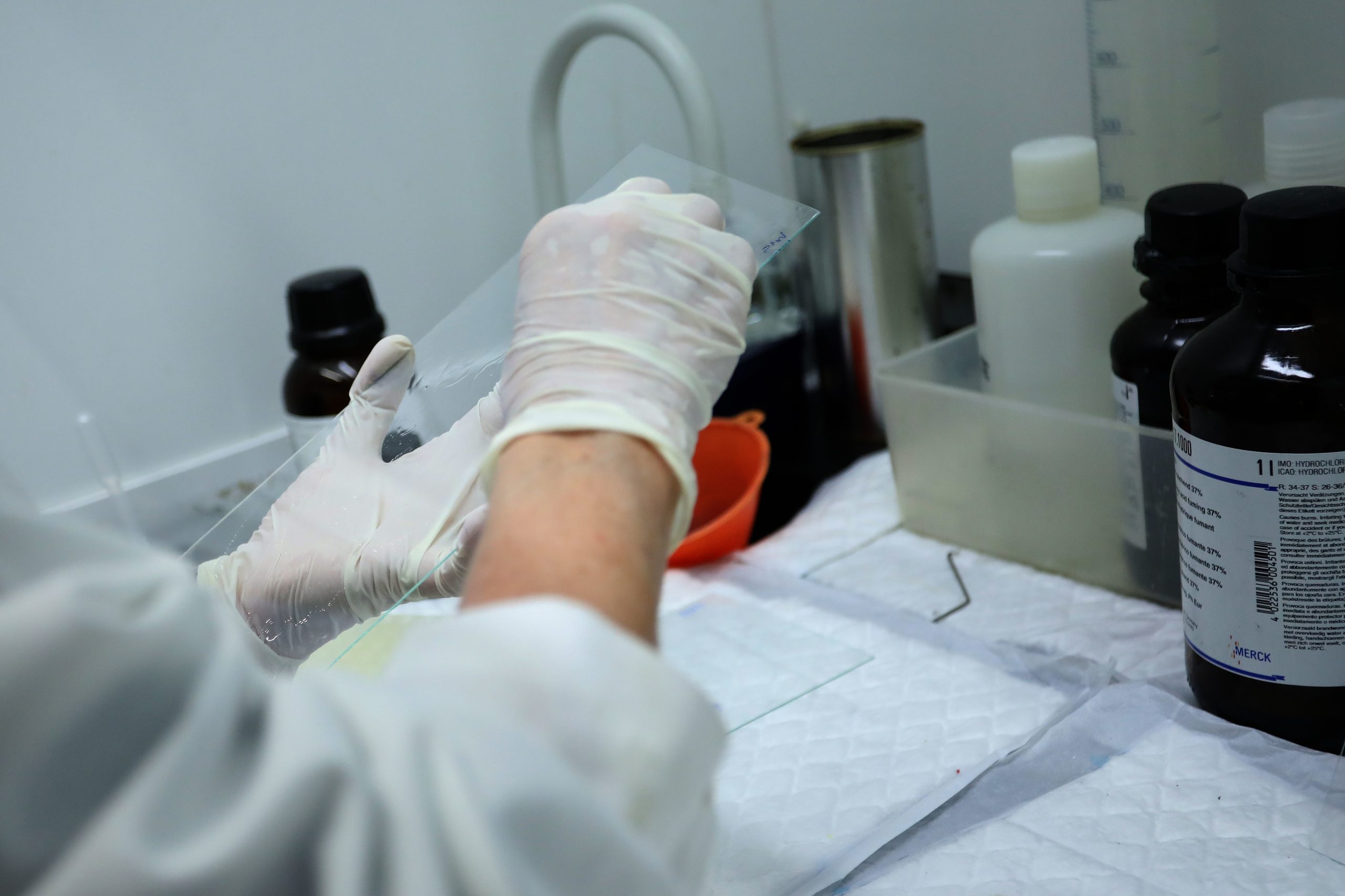 Biofarmacêutica, Universidade e IPO do Porto anunciam investimento de 900 mil euros em projeto de nova terapia contra o cancro