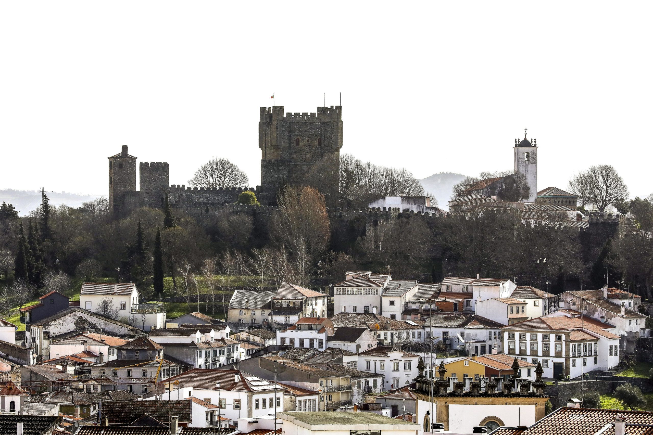Covid-19: Proteção Civil de Bragança diz que números oficiais estão desfasados da realidade