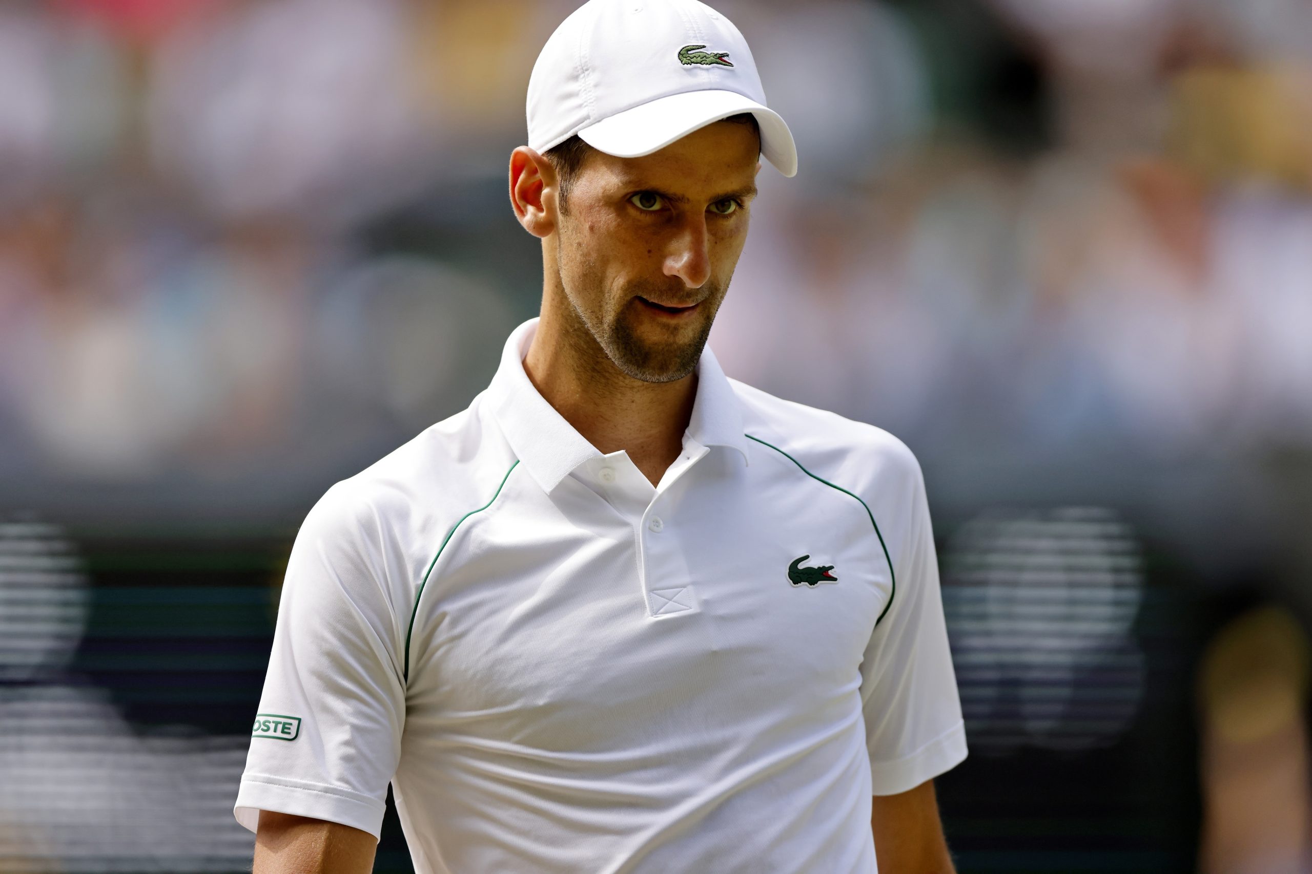 Ténis: Djokovic desiste do Masters 1000 de Montreal por falta de vacinação contra a covid-19