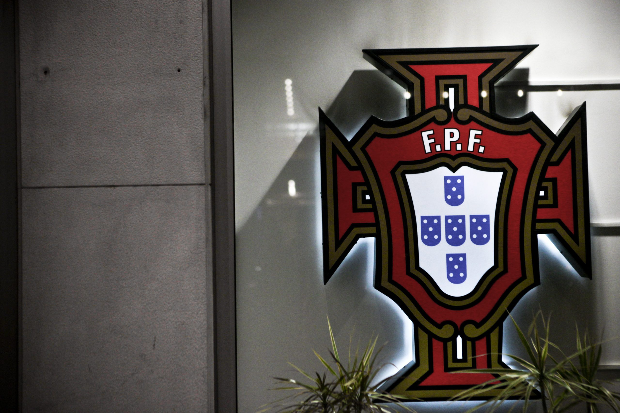 Horácio Piriquito demite-se do Conselho Fiscal da Federação Portuguesa de Futebol