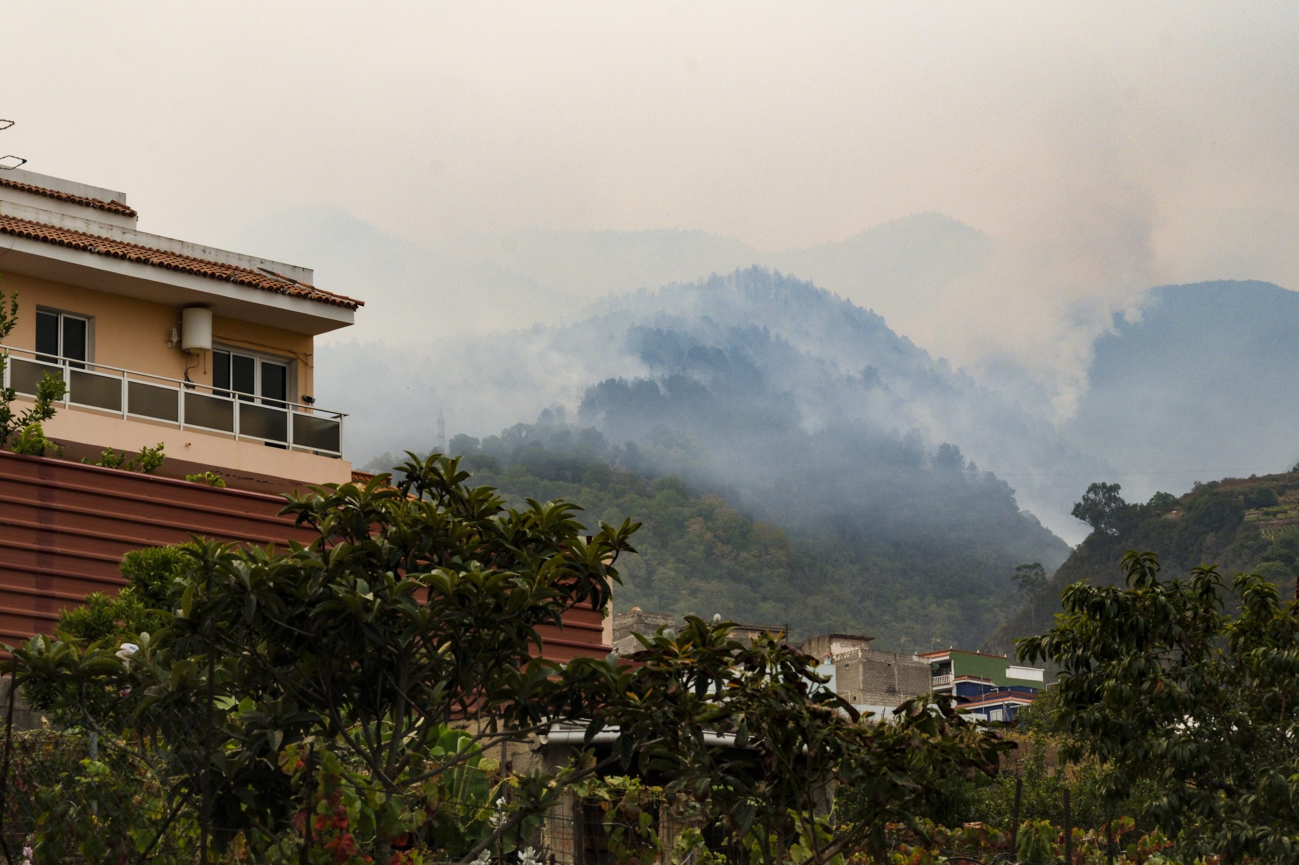 Autoridades investigam causas de incêndio florestal na ilha espanhola de Tenerife