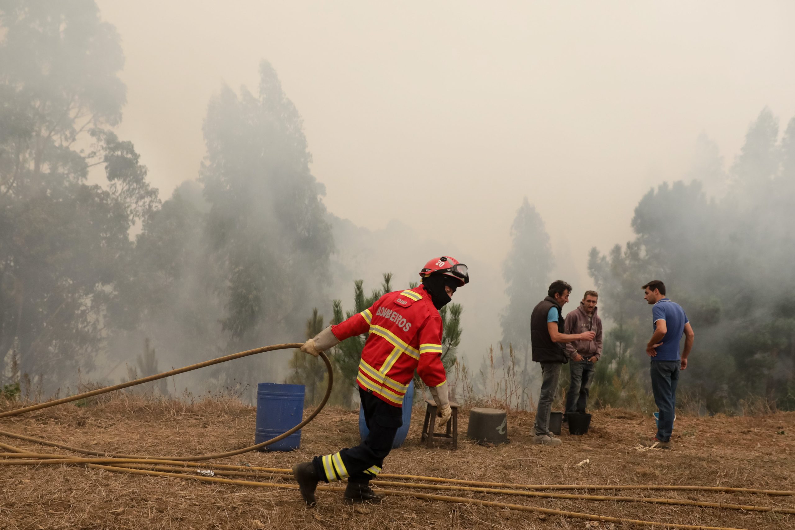 Incêndios. PJ deteve dois suspeitos de crime de fogo em Figueira de Castelo Rodrigo