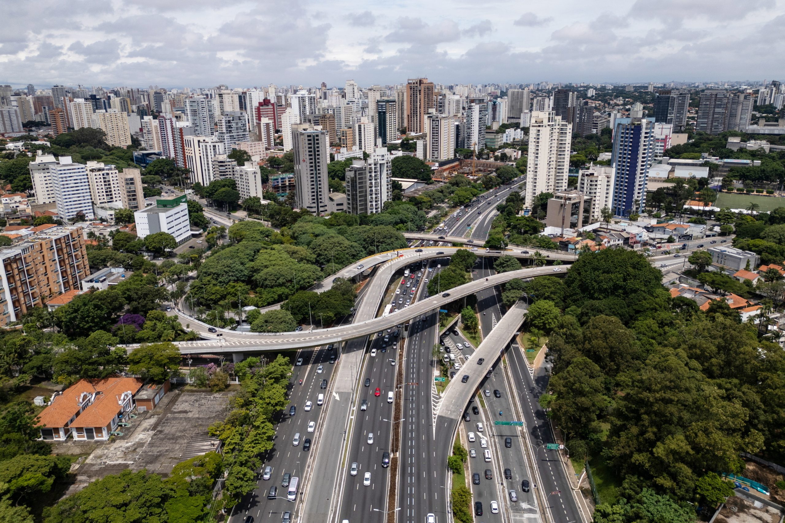São Paulo regista recorde de ataques de escorpiões