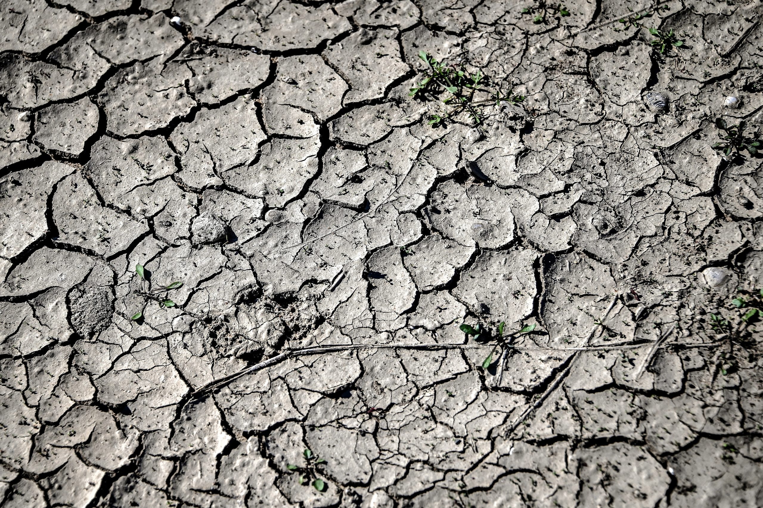 UNICEF alerta para impacto “devastador” da seca na Etiópia