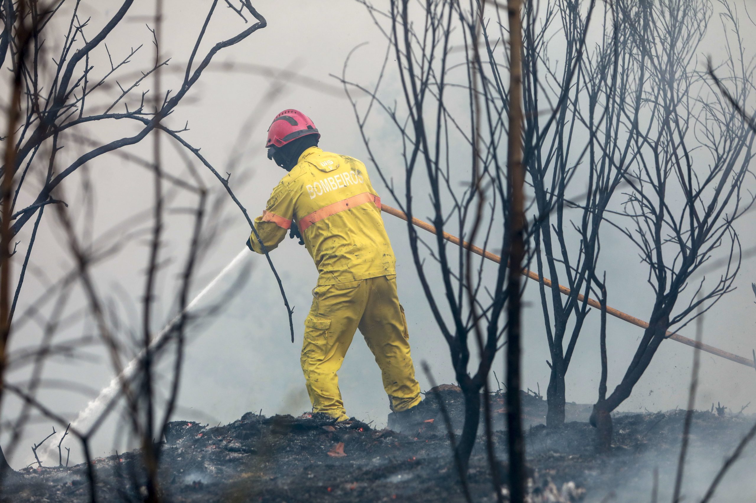 Incêndio em Lamego dominado e em fase de rescaldo