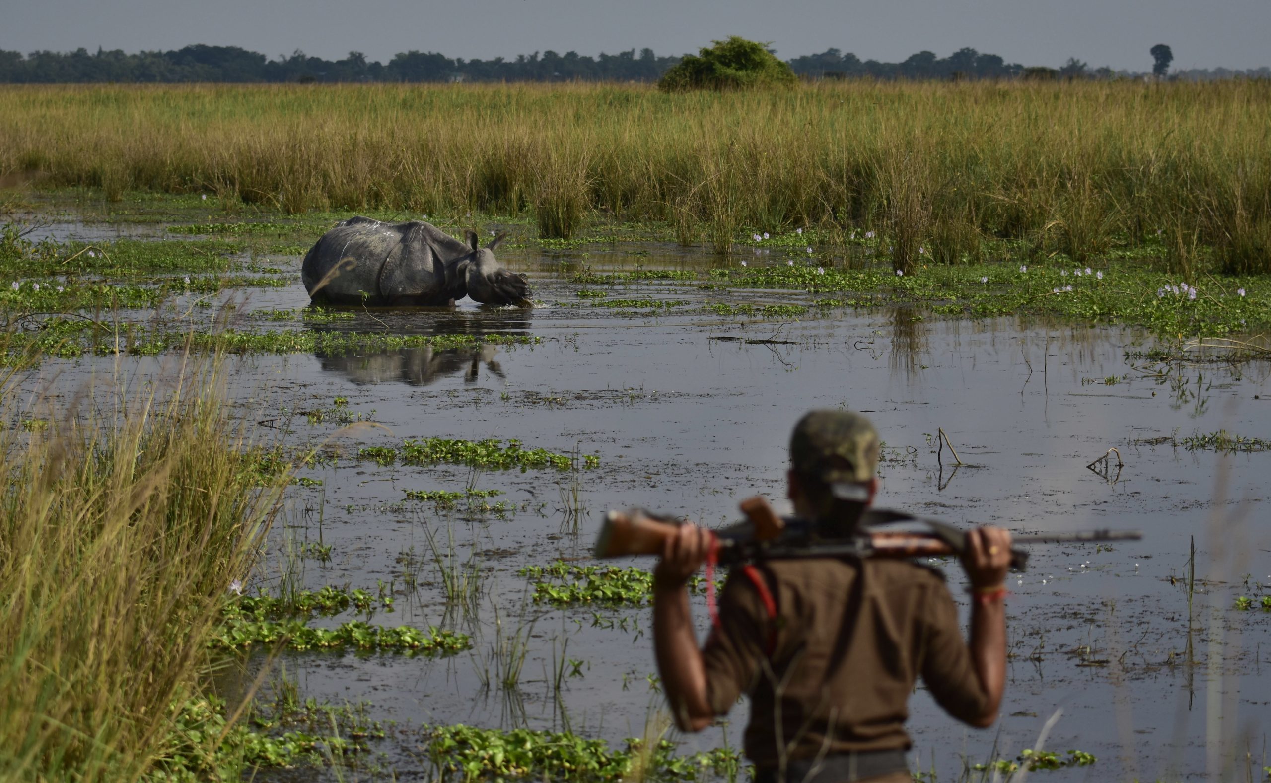 Número de caçadores furtivos detidos na Reserva Especial de Maputo quase que duplicou em 2019