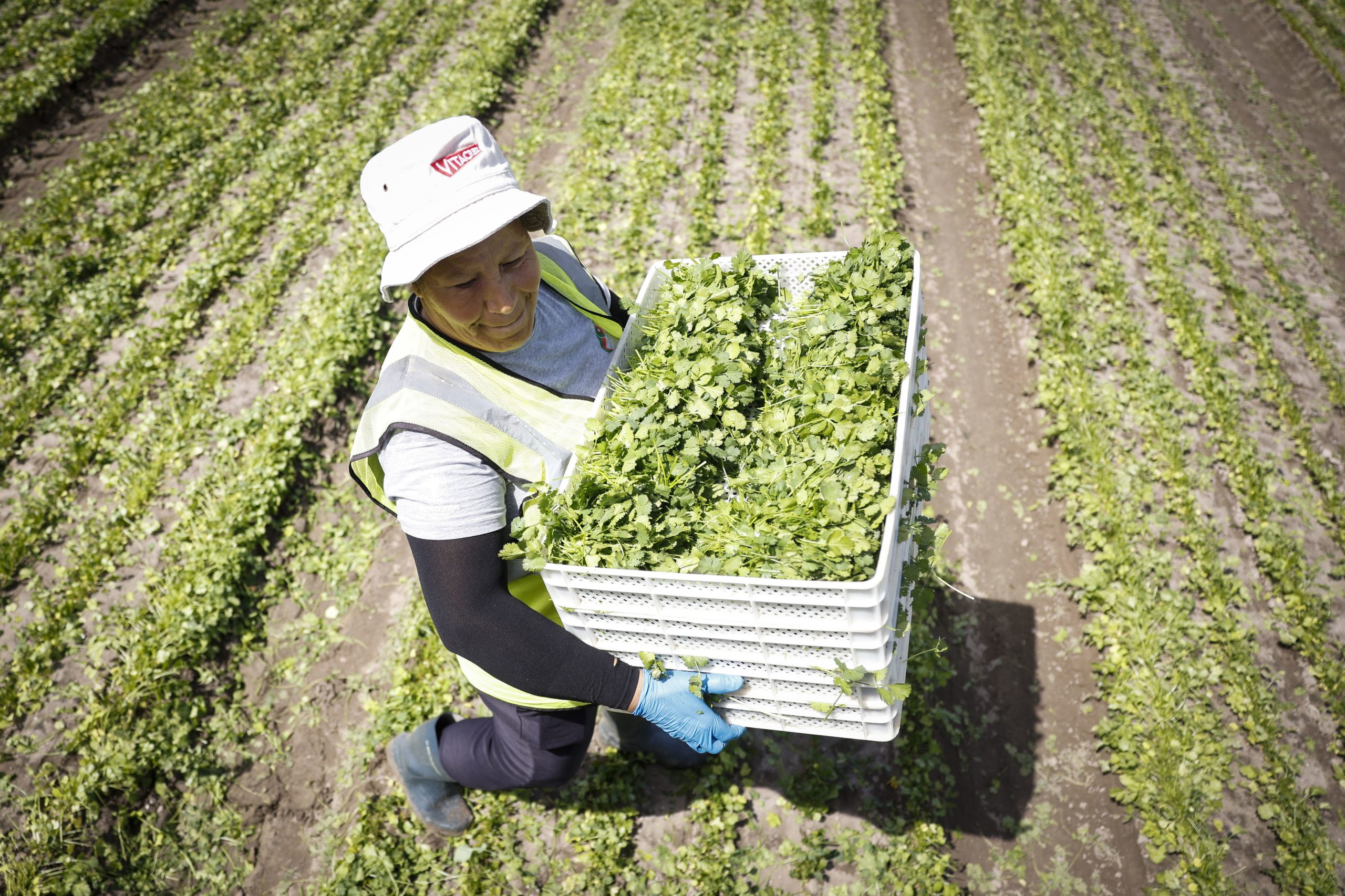 Programa “Second Nature”: como ser neutro em CO2 nos produtos frescos de amanhã