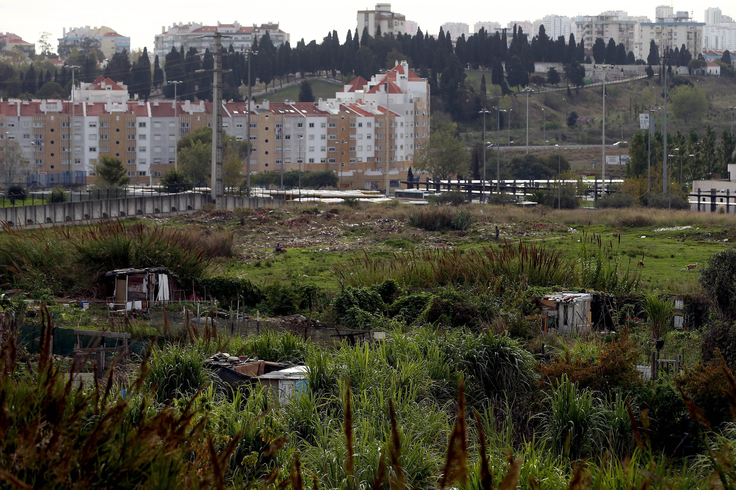 Câmara de Lisboa discute construção de dois campos de futebol em Carnide no valor de 5,7ME