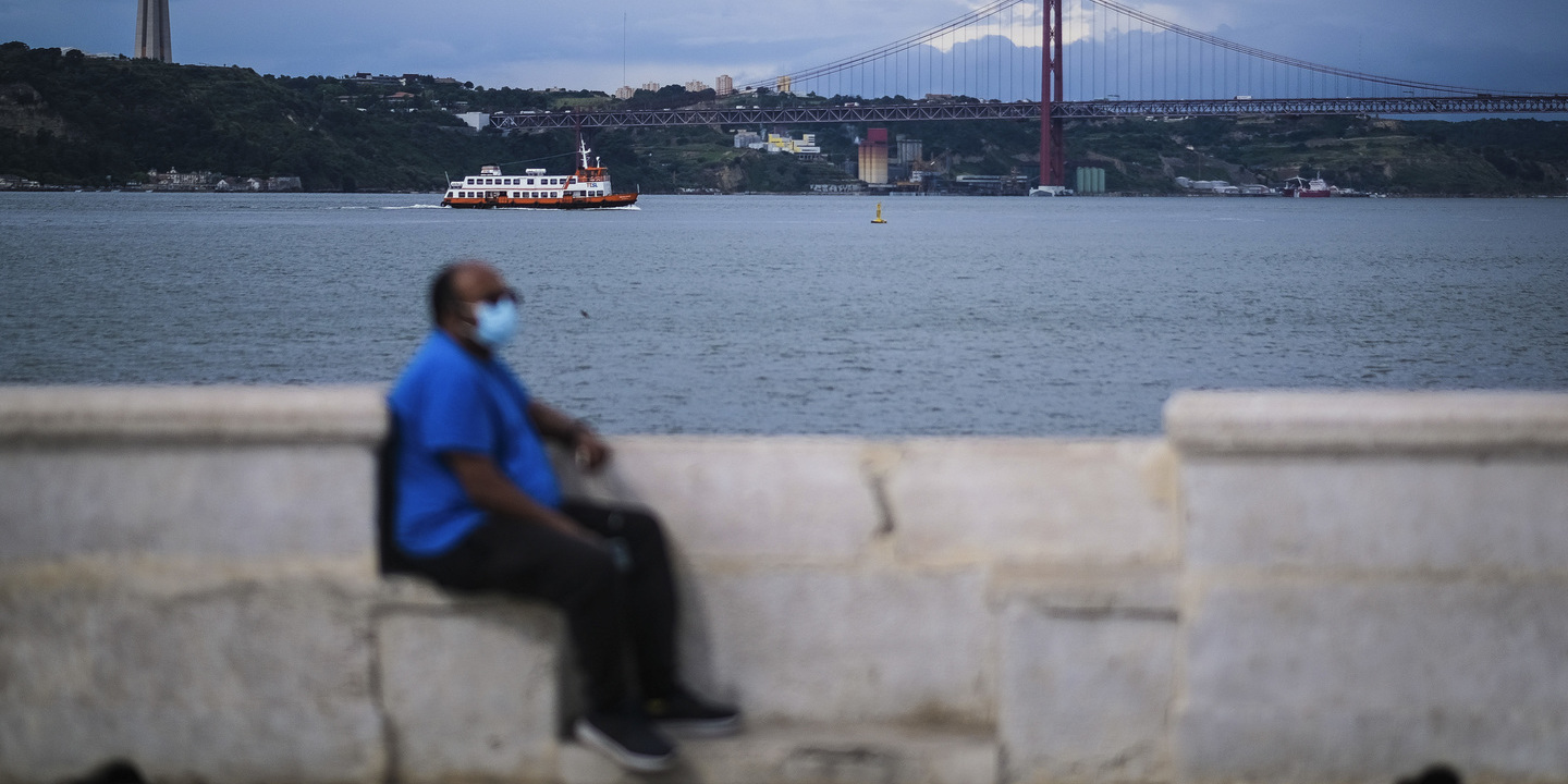 Projeto liga quatro países para proteger ave que passa inverno no Tejo