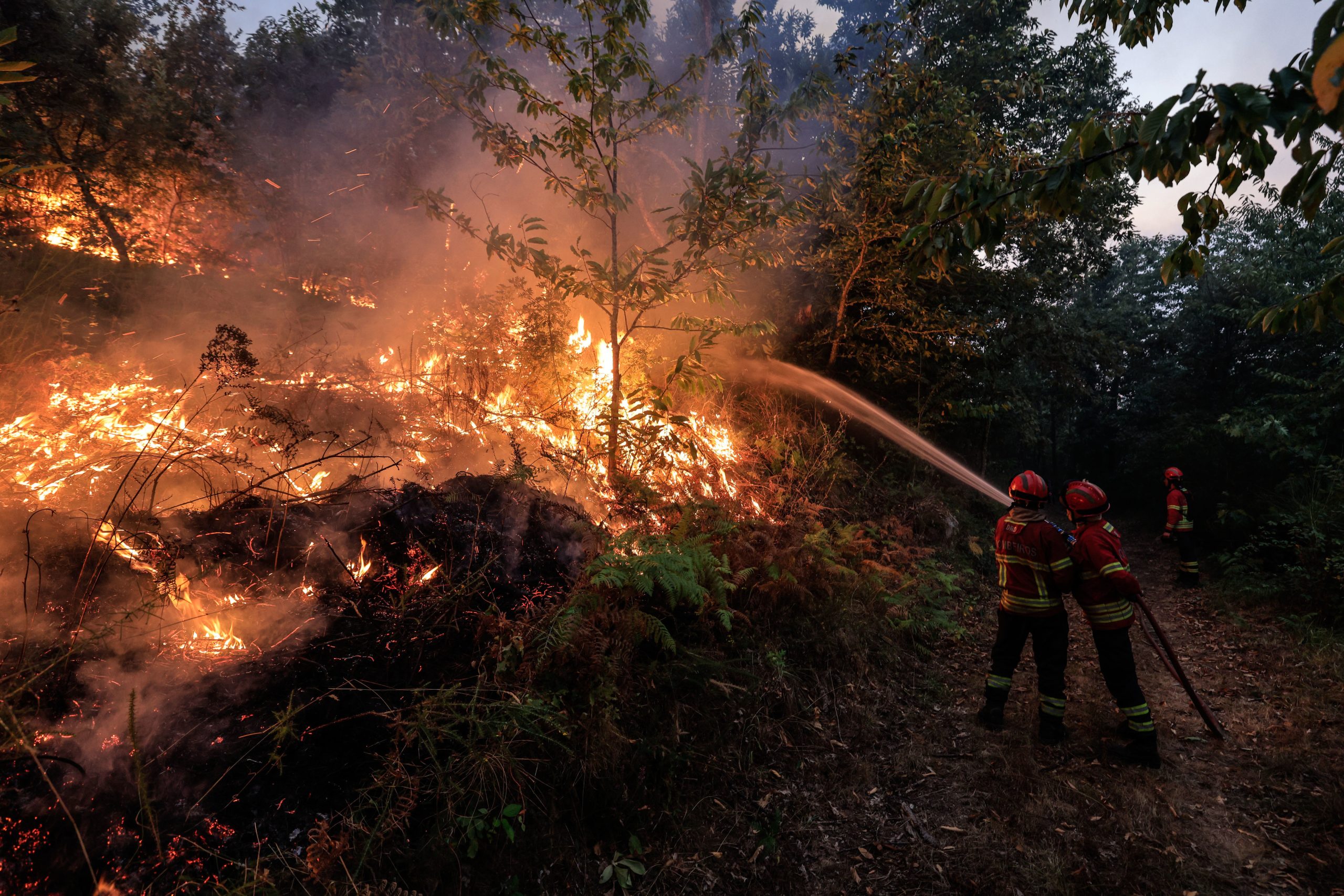 Incêndios causam prejuízo de quatro milhões de euros em Vila Pouca de Aguiar