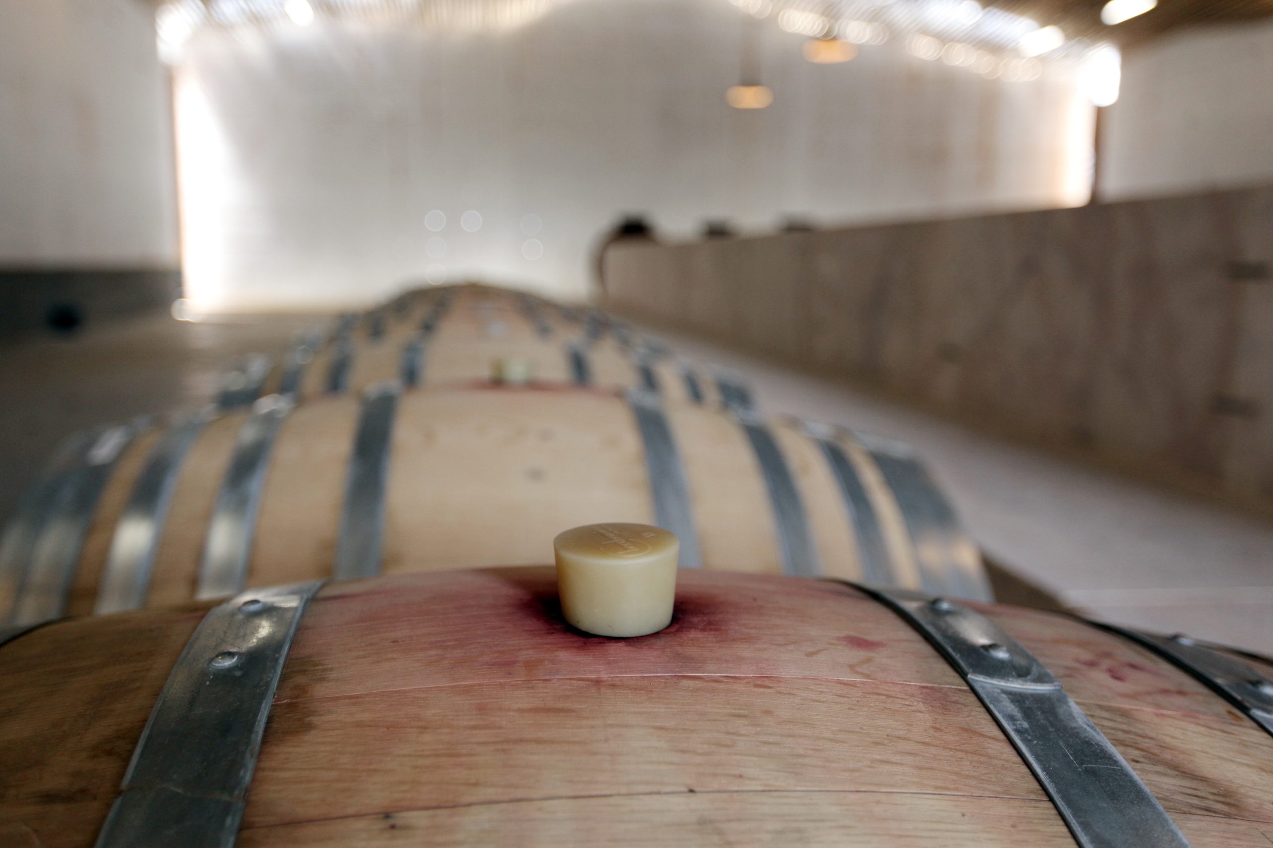 Esporão renova adega dedicada aos vinhos tintos