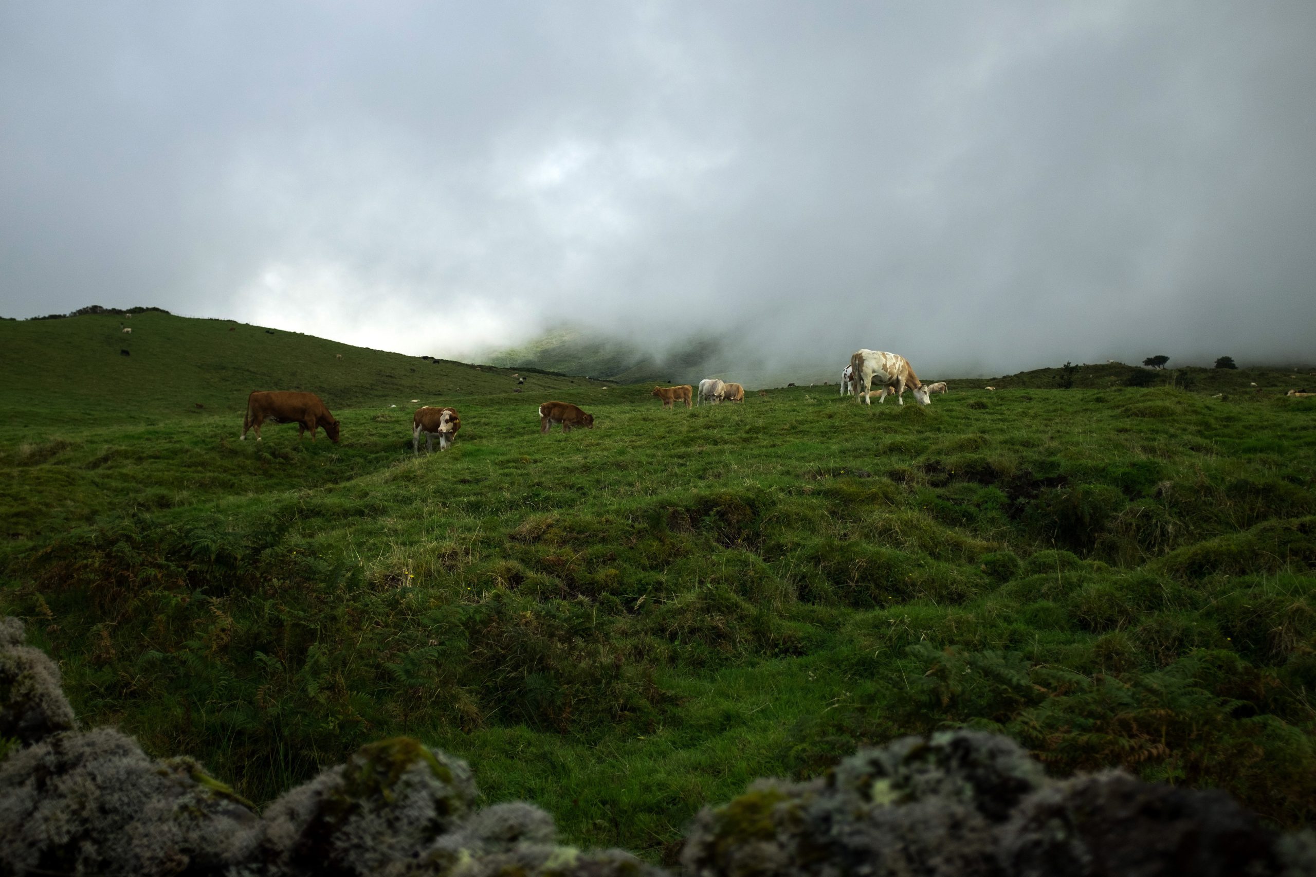 Estudo prevê que Açores registem temperaturas mais altas e tempestades mais frequentes até 2100