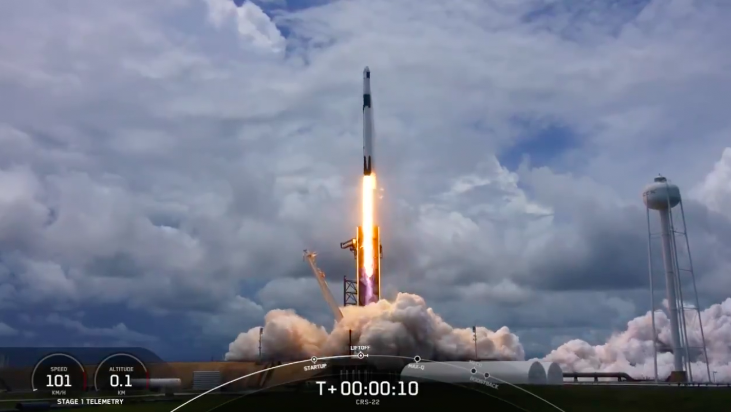 Lulas, pasta de dentes e abacates. Cápsula Dragon, da Space X, está a caminho da Estação Espacial Internacional com novo carregamento