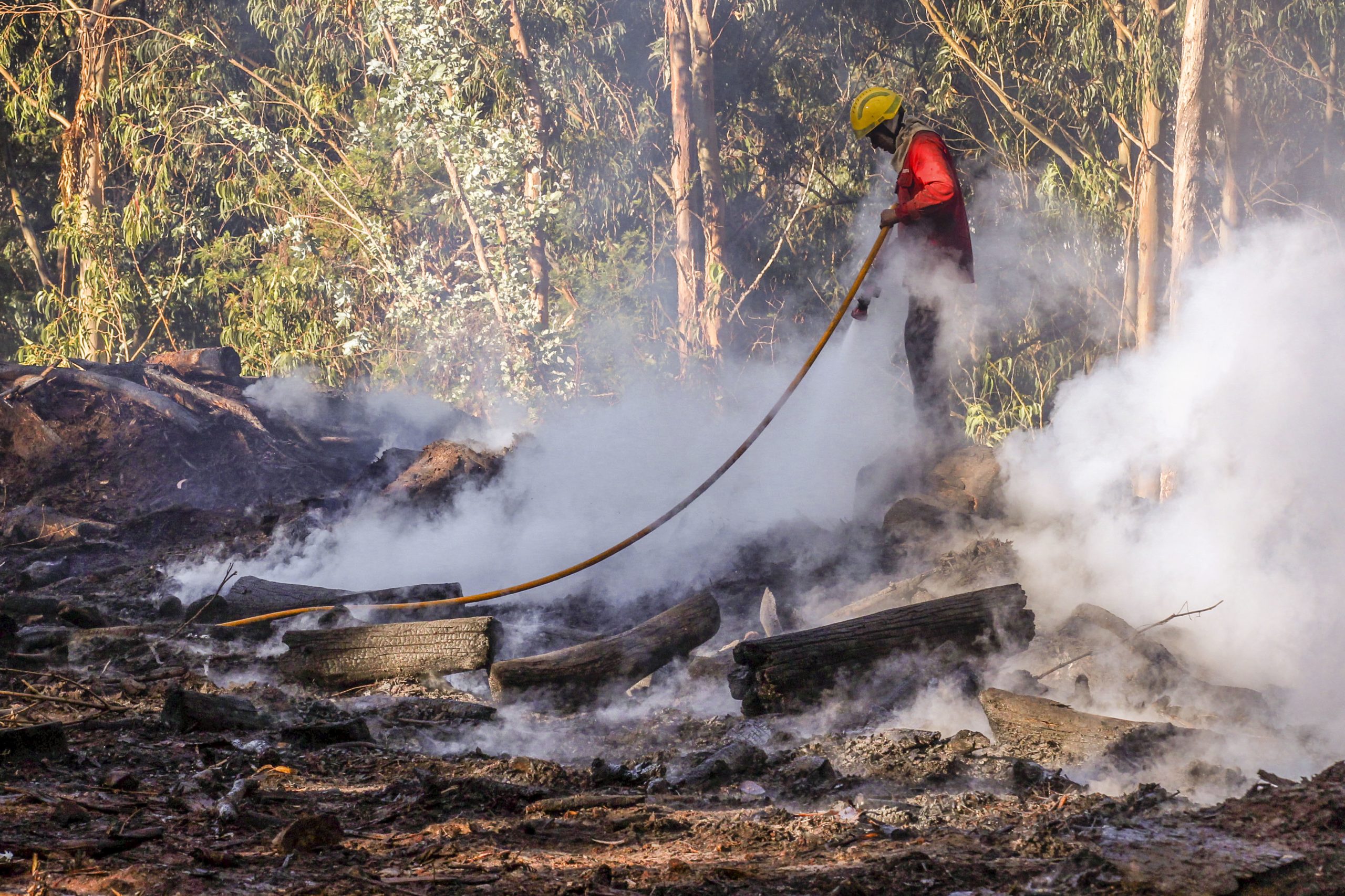 Incêndios: Dominado fogo em Loulé