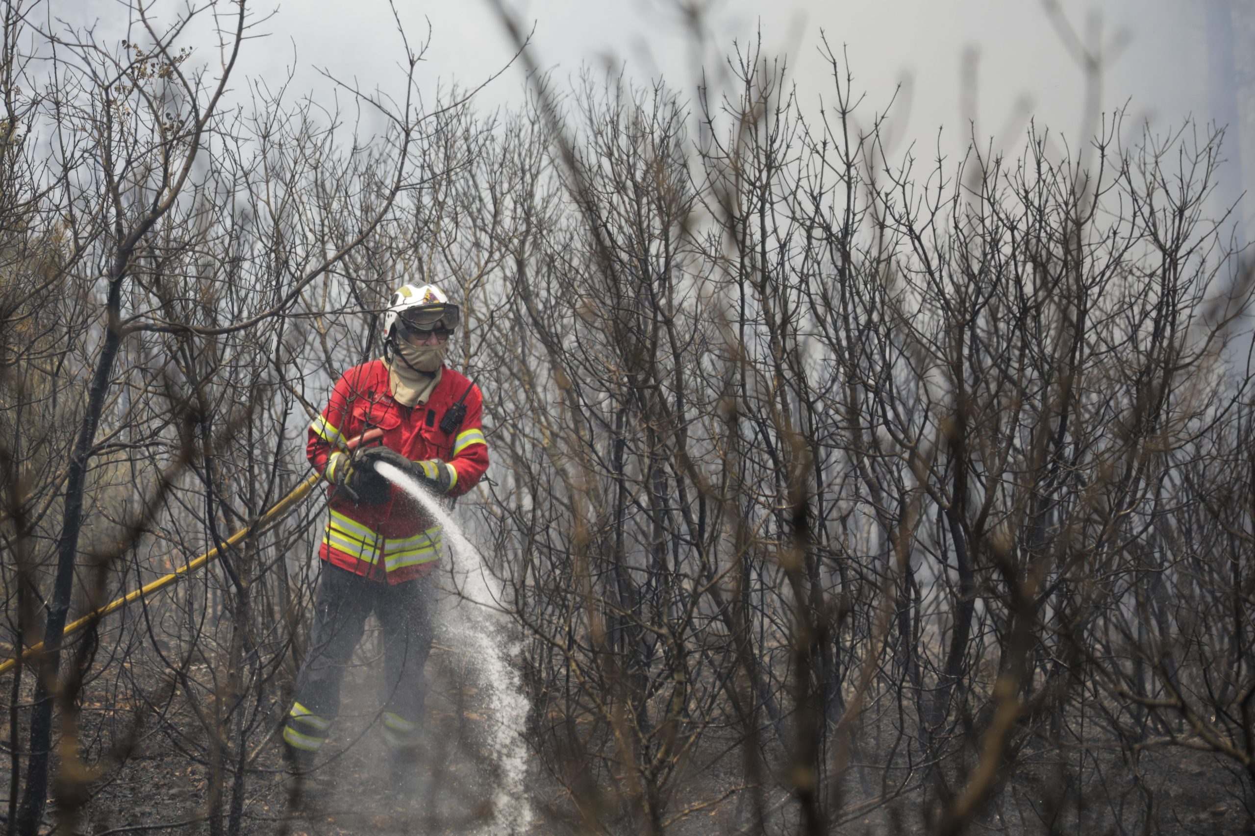 Incêndios: Mais de uma centena de bombeiros combatem fogo em Condeixa-a-Nova