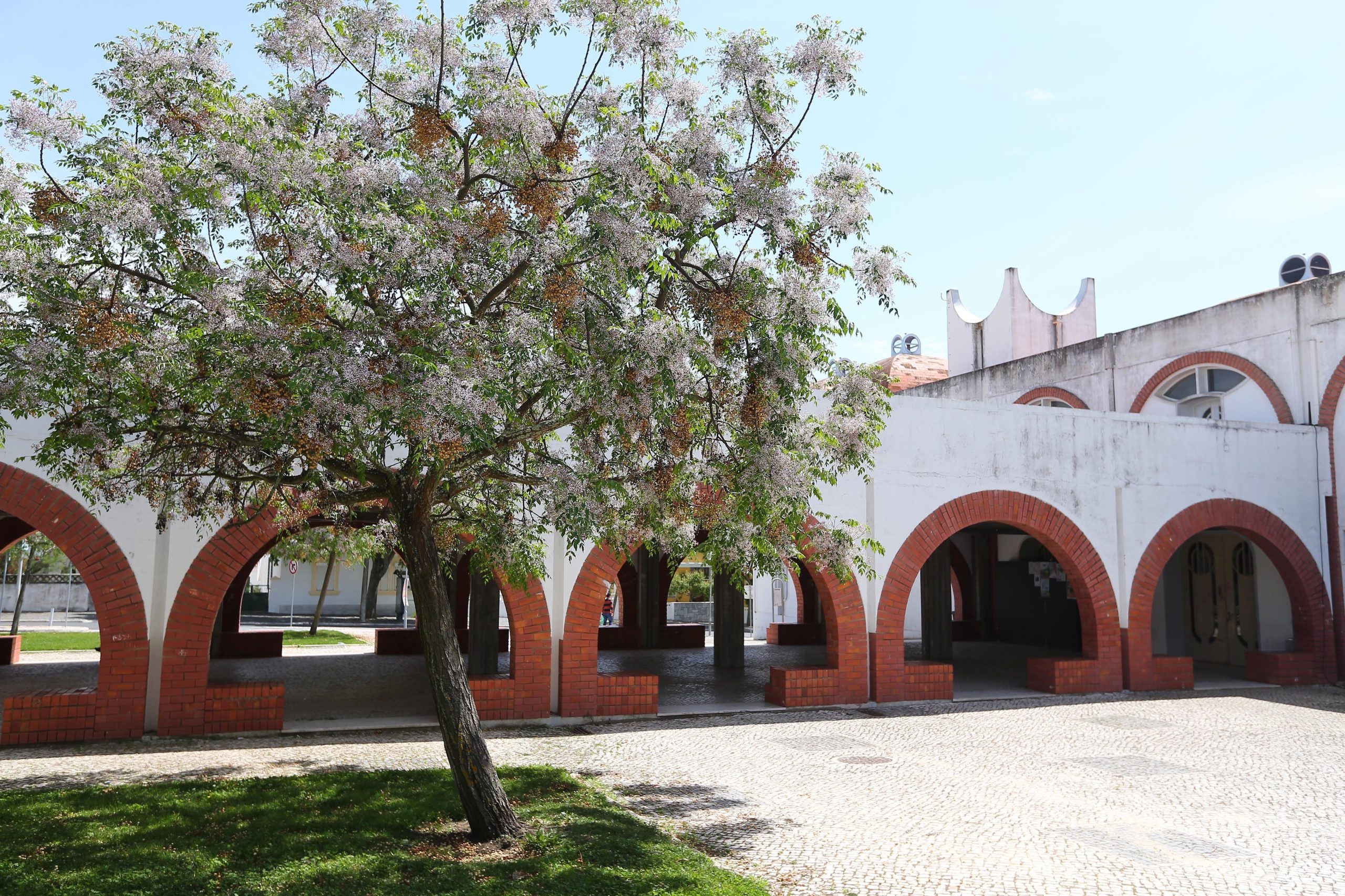Câmara de Beja realoja em contentores imigrantes que ocupam edificio devoluto