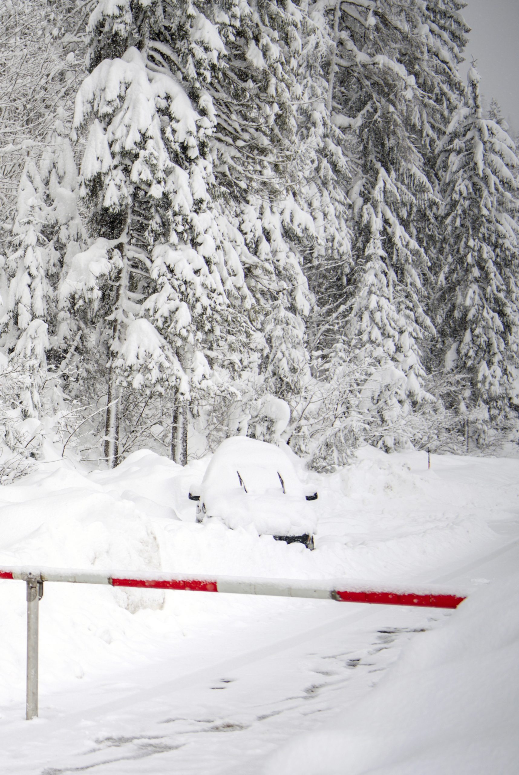 Pelo menos cinco mortos em avalanches na Áustria após fortes nevões