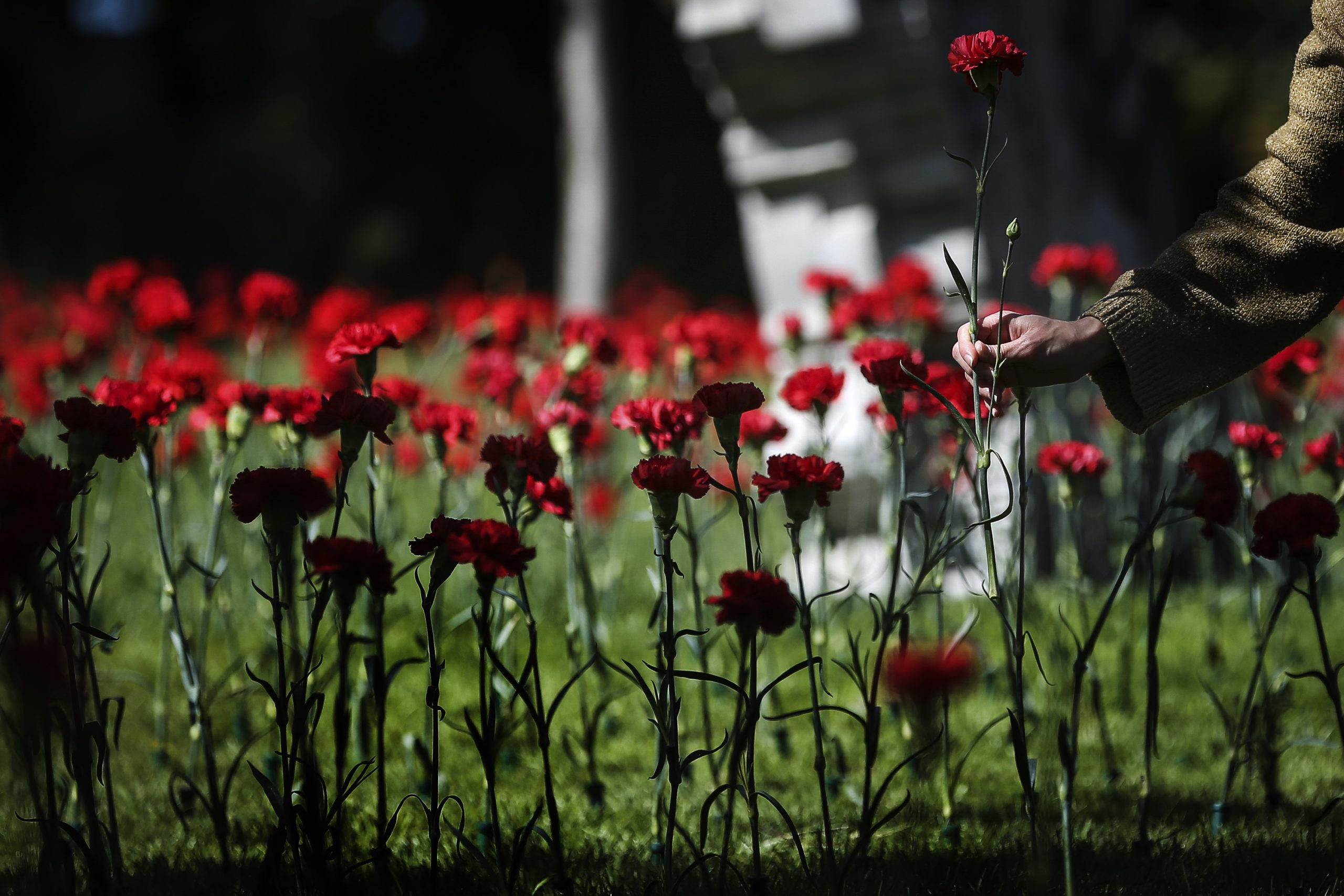 25 Abril: celebrações festivas adiadas para 1.º de Maio com jardins abertos e Tony Carreira
