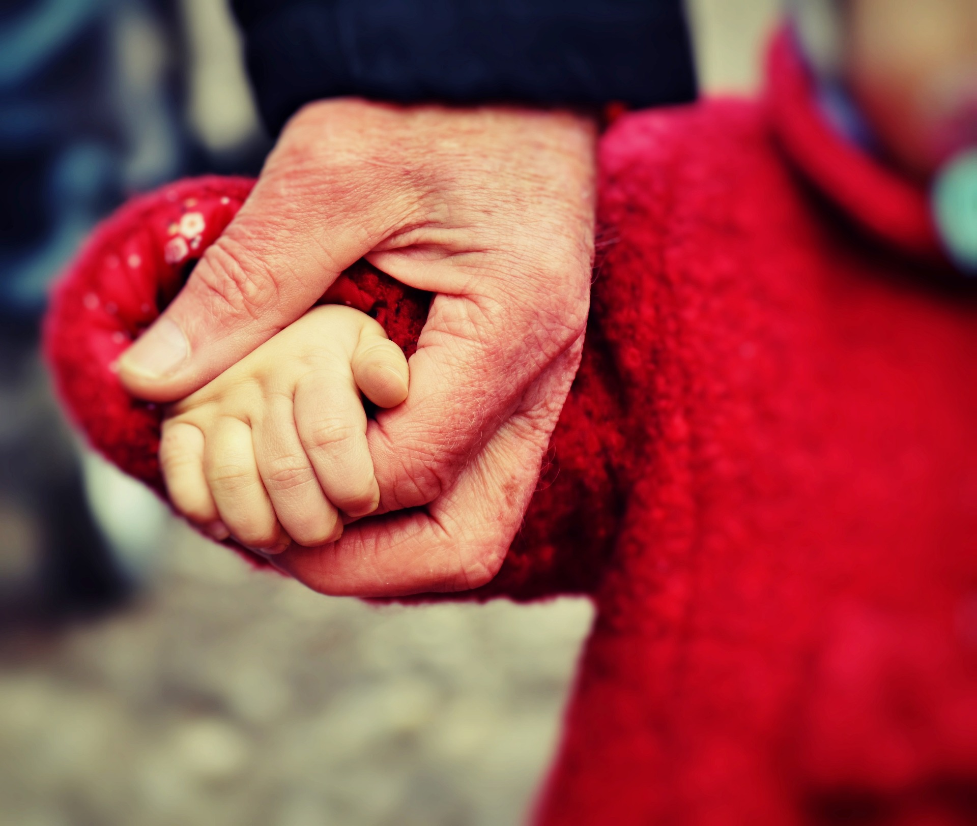 OE2024: Abono de família aumenta 22 euros/mês para famílias até ao 4.º escalão