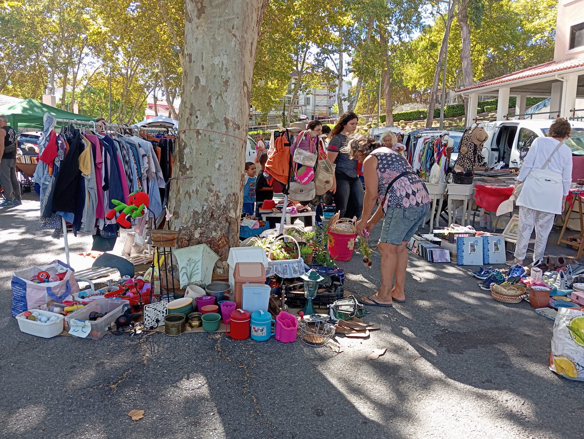 Feiras: destralhar a casa e ganhar uns trocos com isso