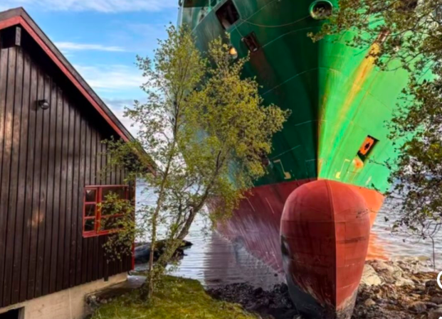 “É um novo vizinho bastante volumoso”. Navio porta-contentores encalha no jardim de um norueguês