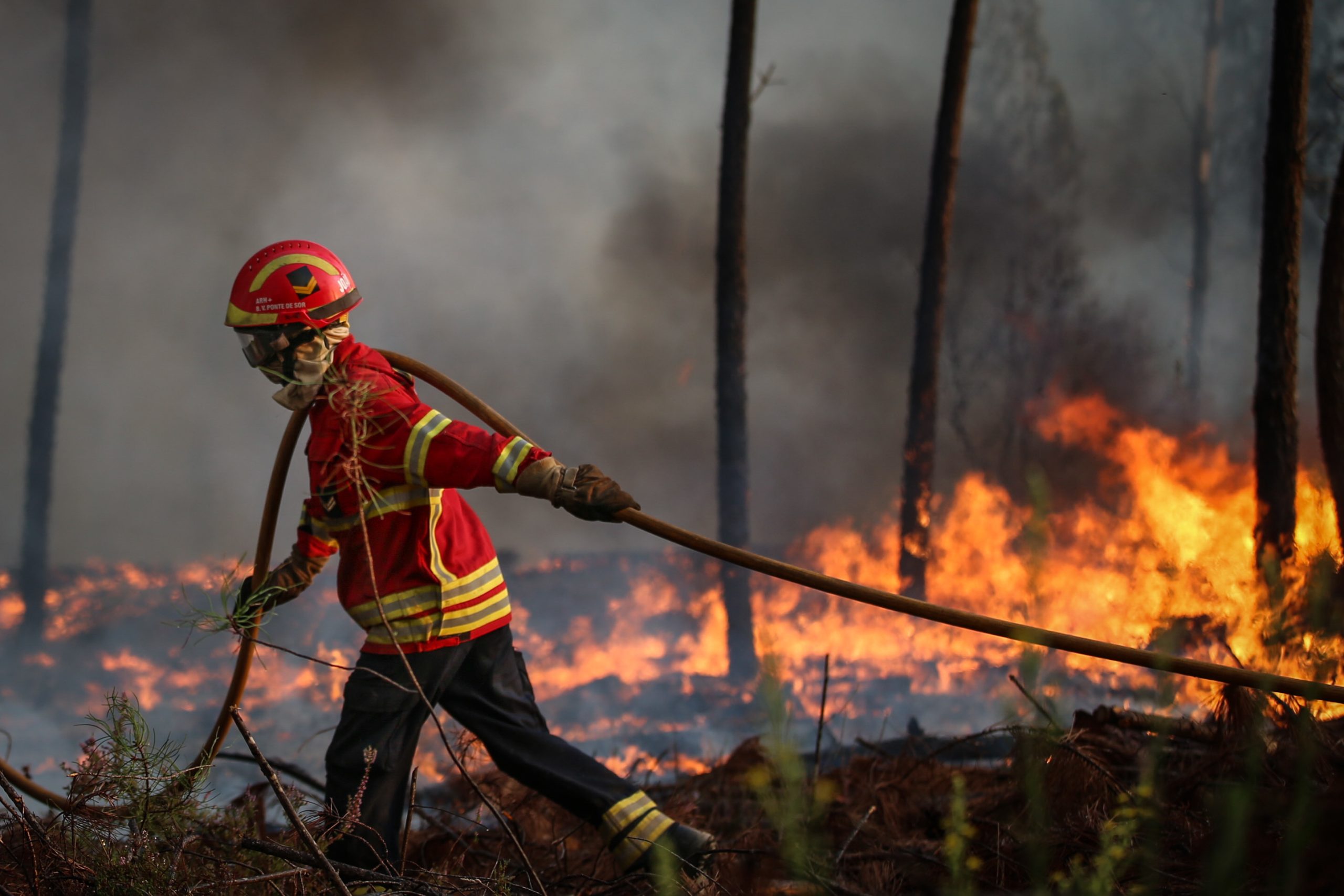 Proteção Civil diz que falta dominar 10% do incêndio de Proença-a-Nova