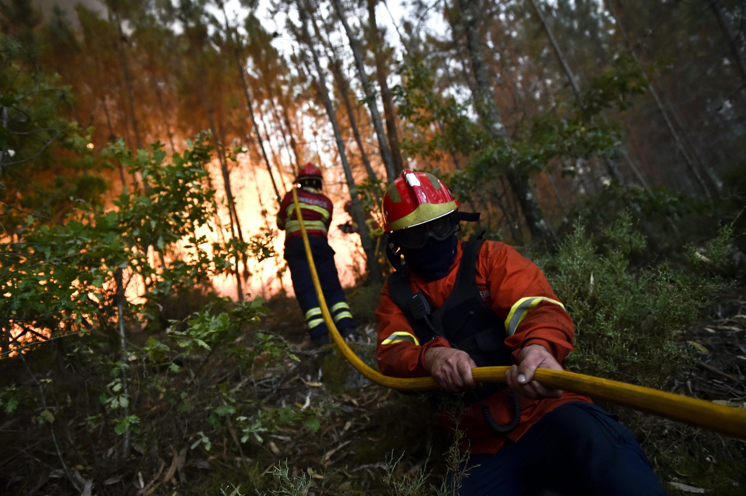 Sete concelhos do continente com risco “elevado” de incêndio