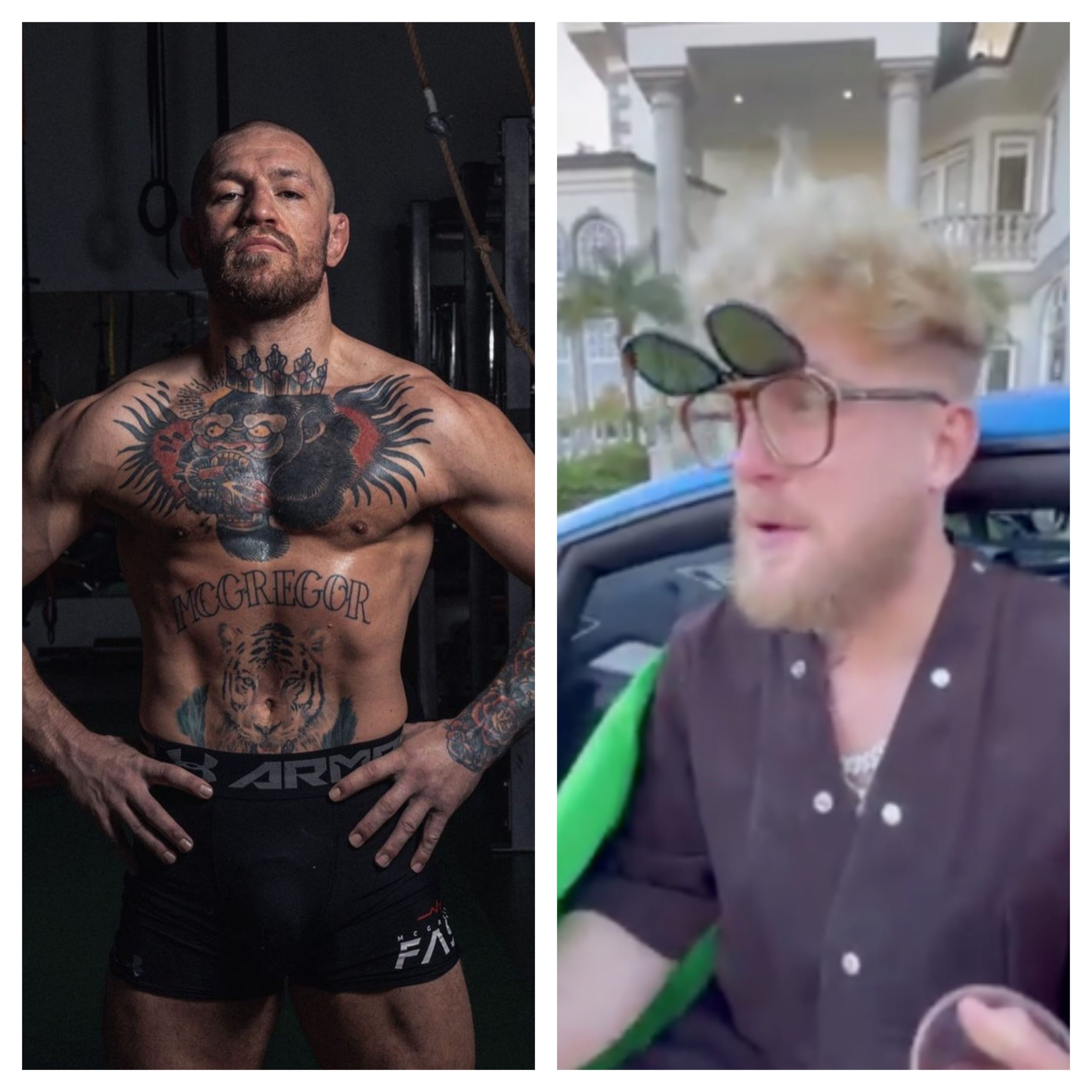 Youtuber Jake Paul desafia Conor McGregor para combate. “Tens medo de lutar comigo”
