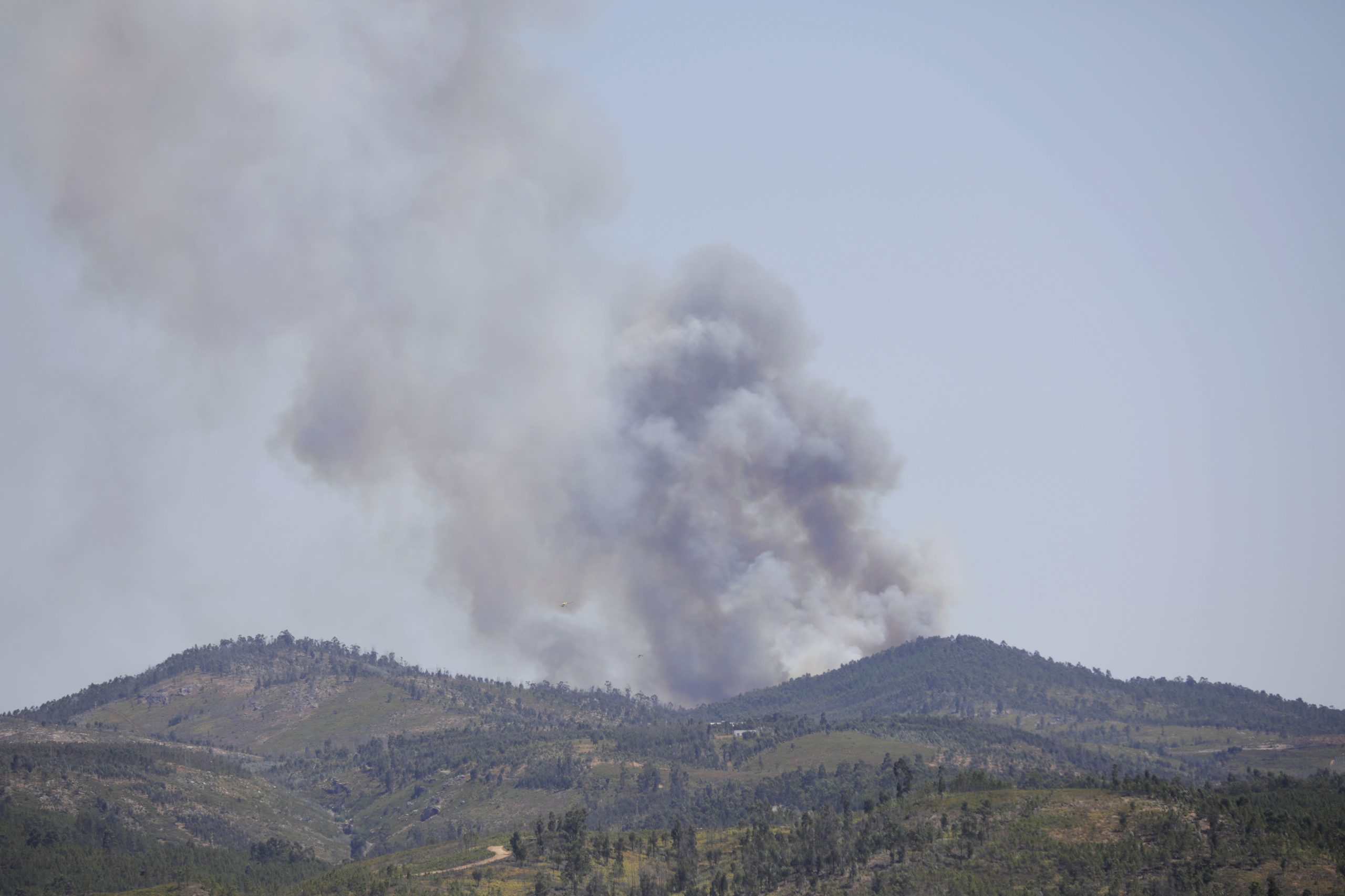 Fogo em Abrantes entra em fase de resolução