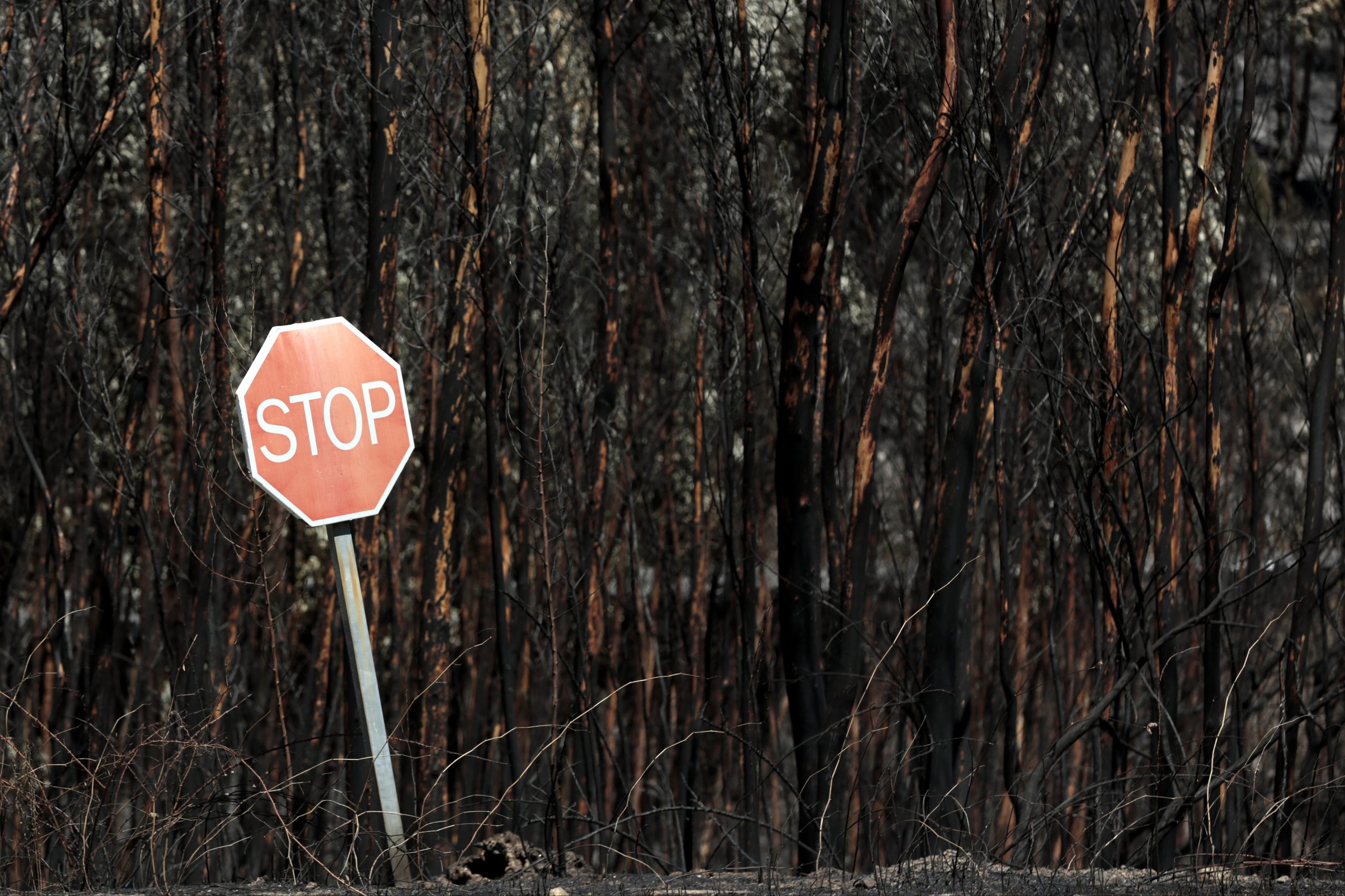 Incêndios. Em Portimão e Monchique contam-se prejuízos depois de 2.000 hectares ardidos