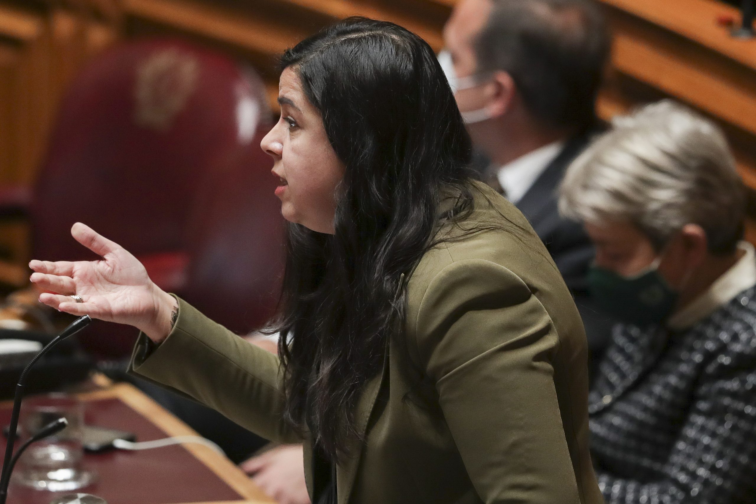 Programa do Governo: PAN avisa que há “dois milhões de pessoas a viver em situação de pobreza energética” e critica “cópia e cola”