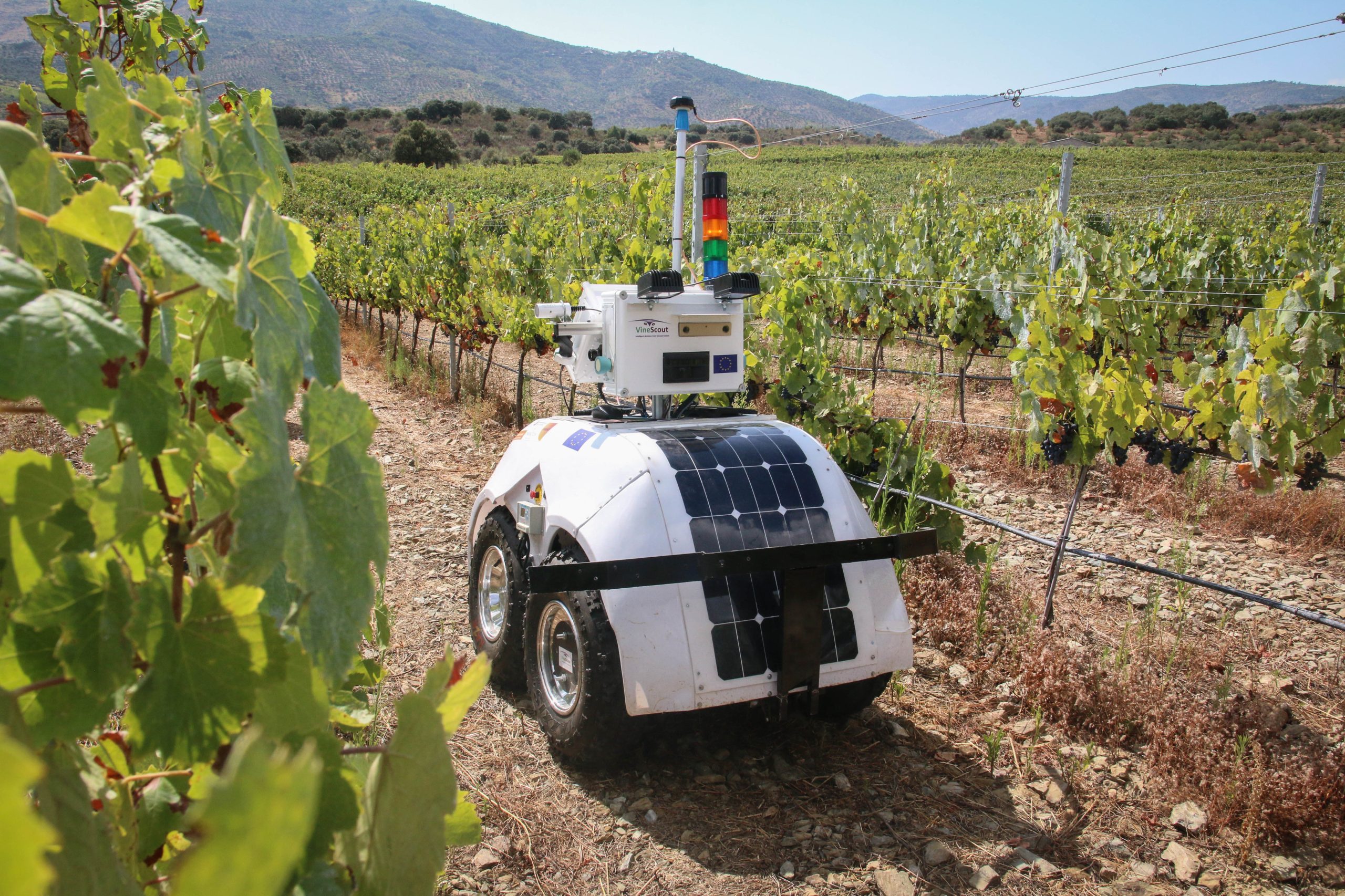 VineScout: Investigadores testam robô para medir níveis das vinhas