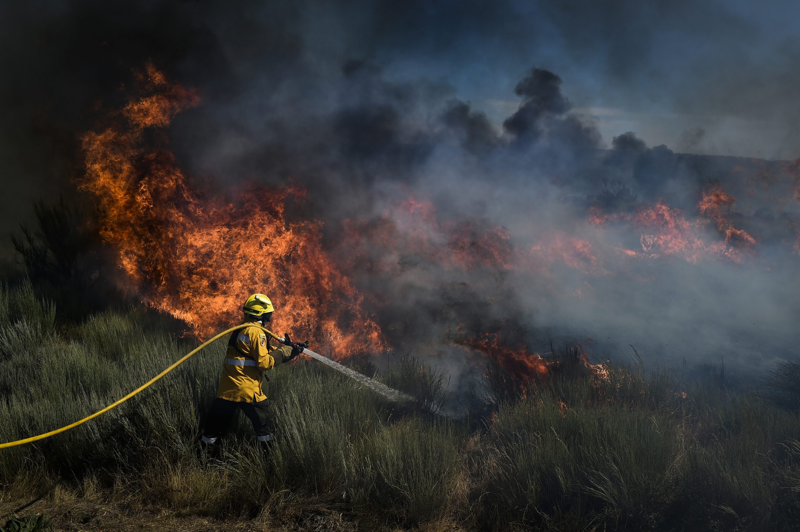 Mais de uma centena de bombeiros combate fogo em Castro Marim