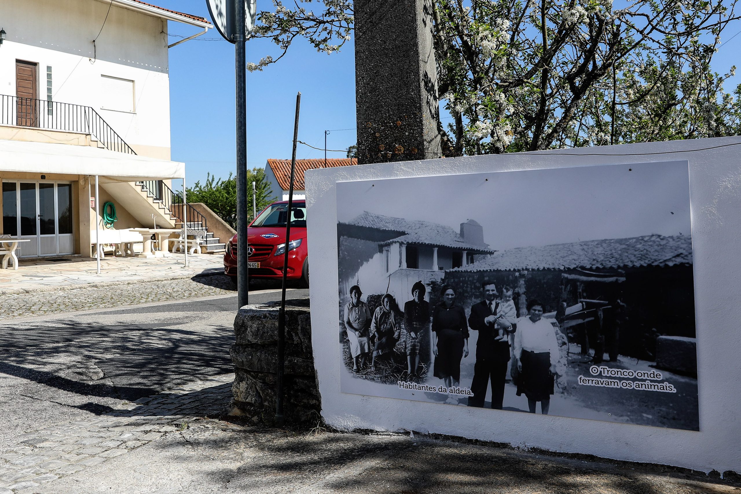 Fátima: Lar onde morreu a mulher que desencadeou a beatificação dos pastorinhos vai acompanhar peregrinação pela TV