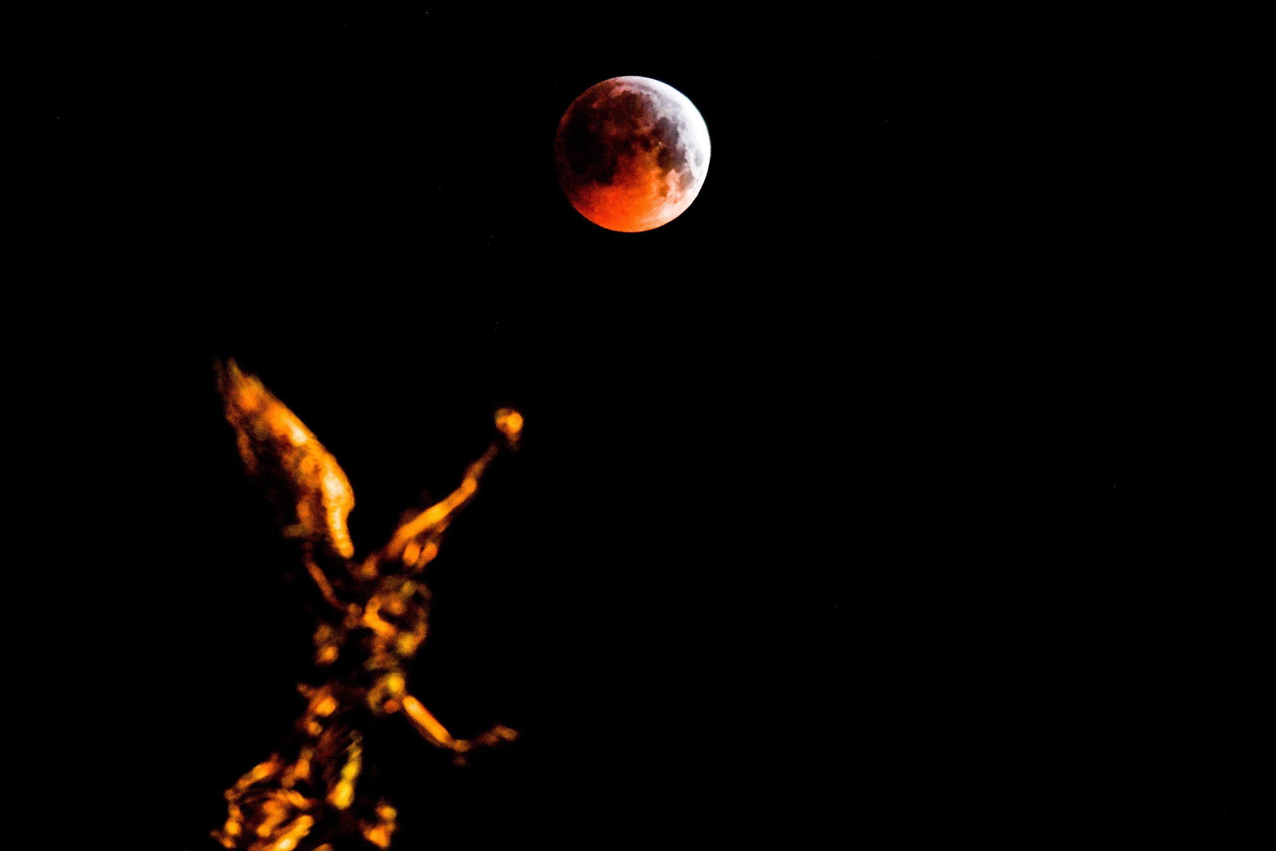 A noite em que a lua ficou vermelha. Veja aqui as imagens do eclipse lunar