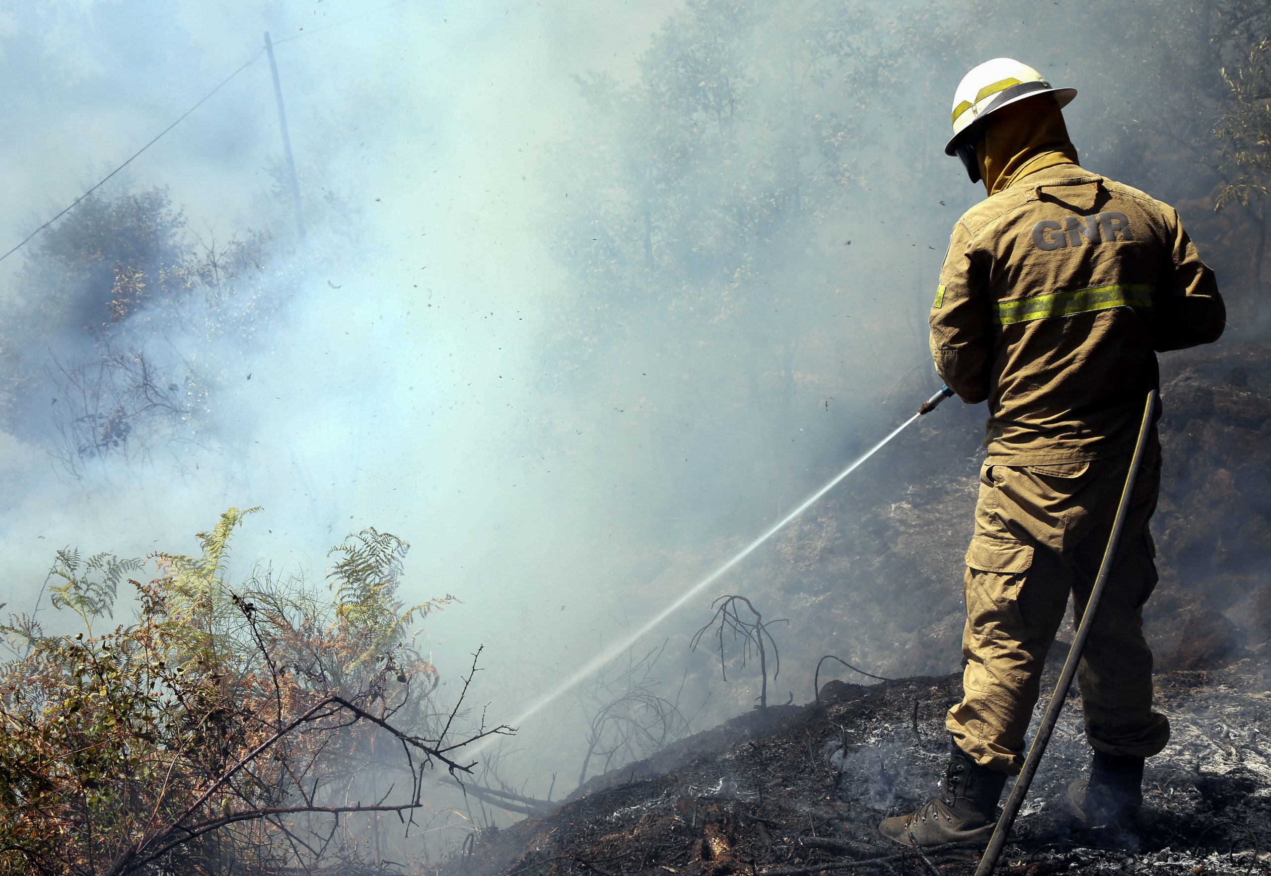 Fogo na Serra de Água preocupa bombeiros mas “não há registo de danos”