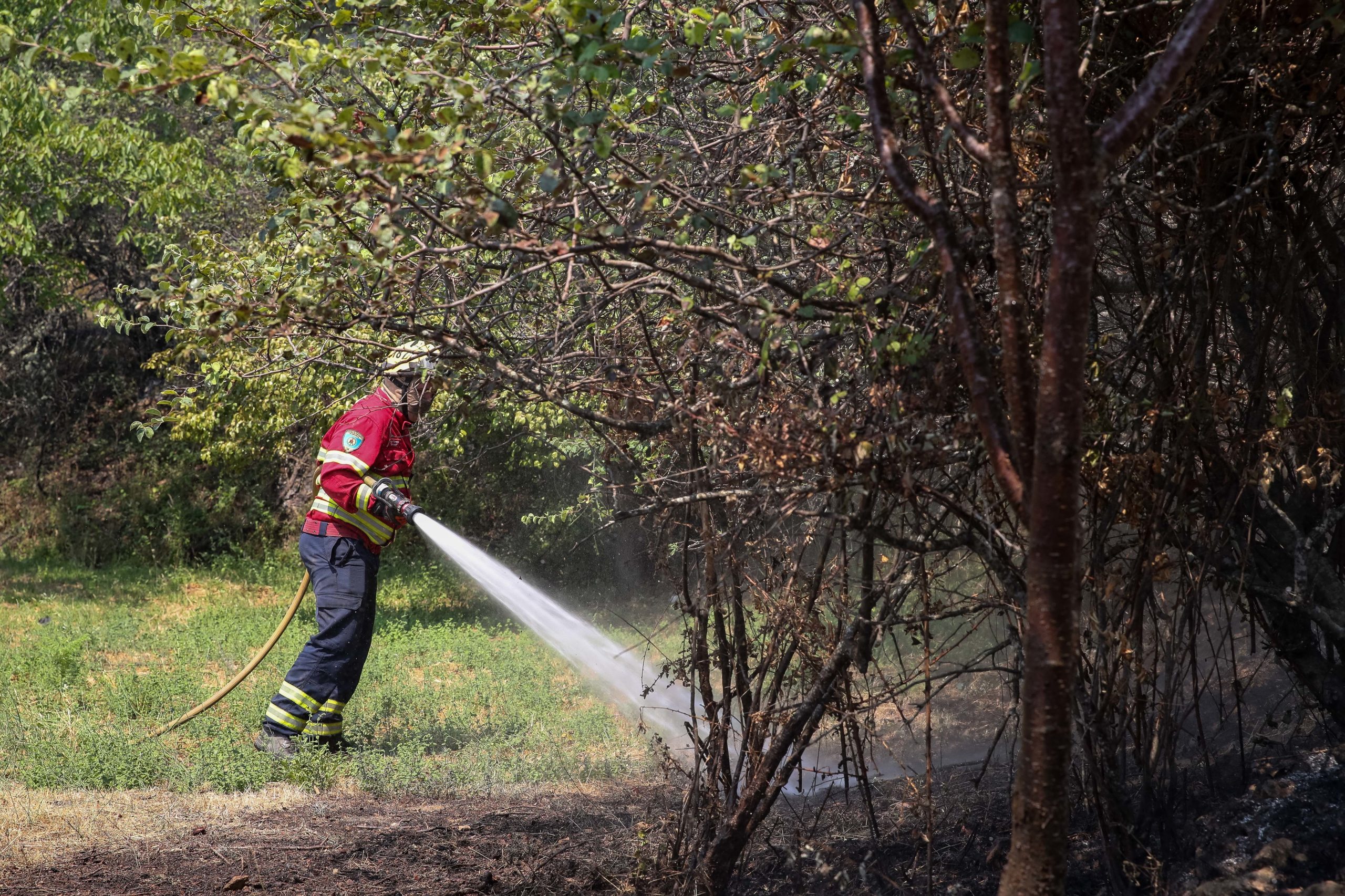 UE apoia Portugal com mapas satélite para combate a incêndio em Proença-a-Nova