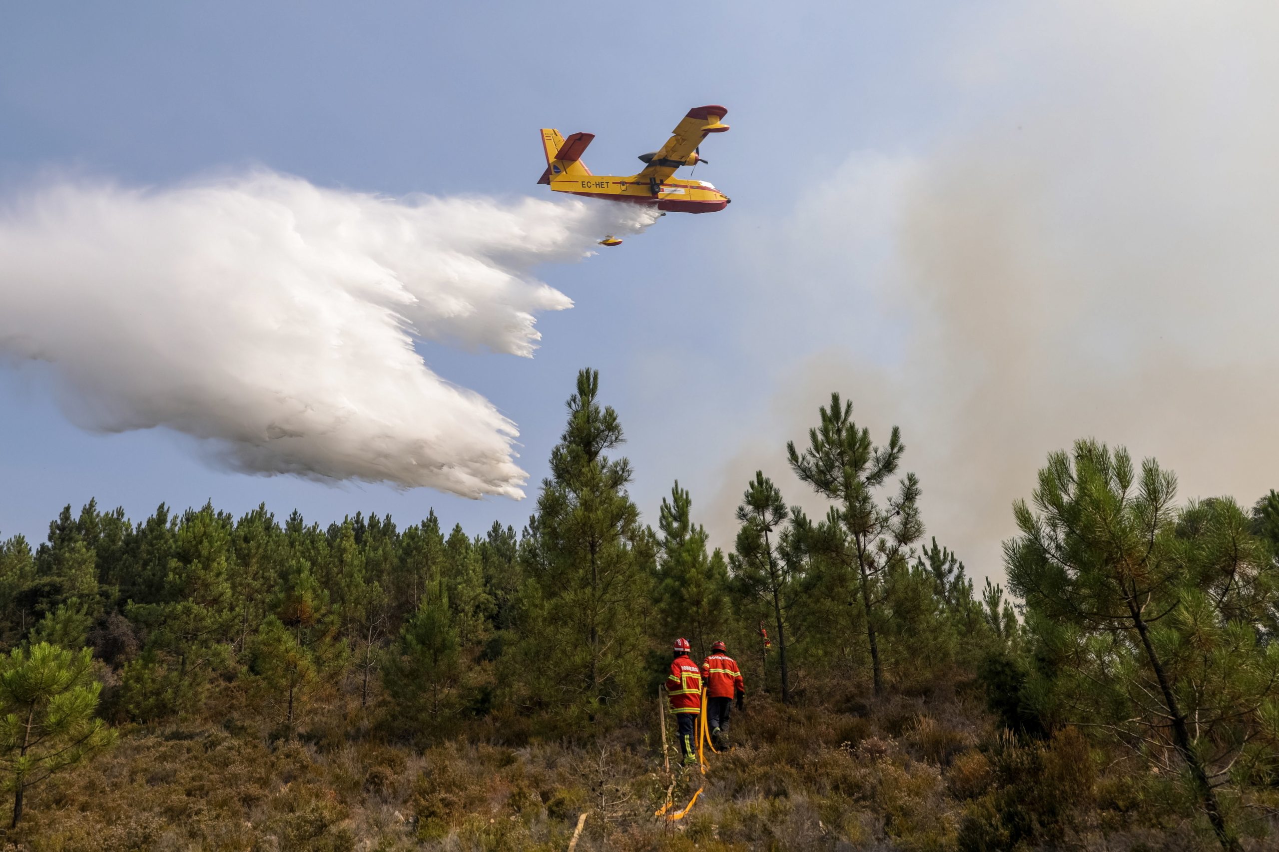 Incêndios: Vila de Rei defende reforço de meios e reflexão sobre estratégia de proteção das populações